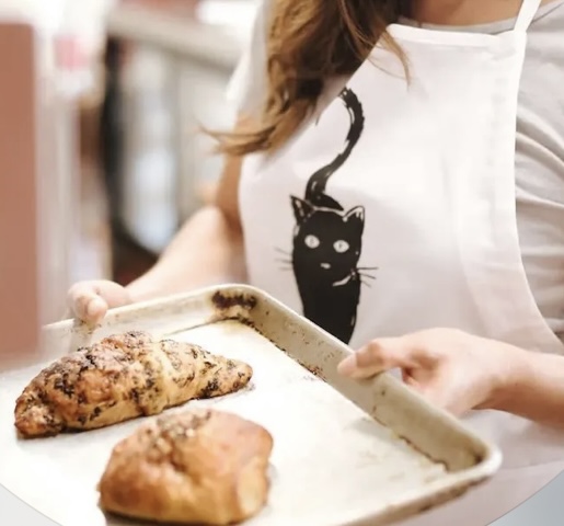 Curious Cat Bakery