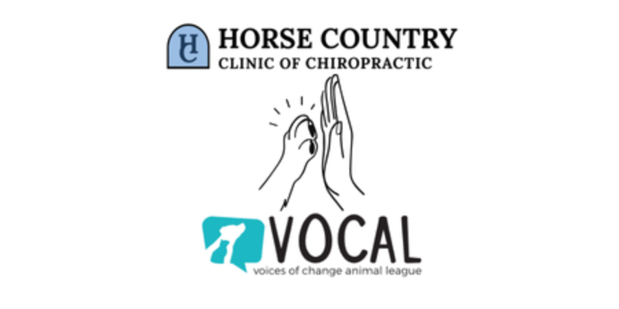 Horse Country & VOCAL Chiropractic  Fund (2027)