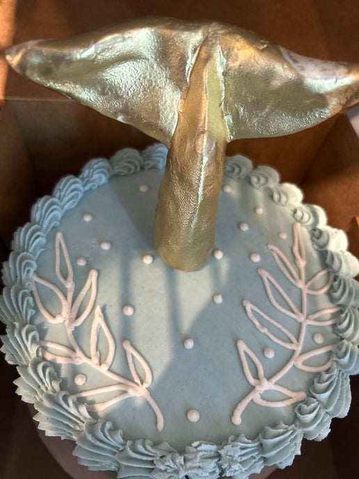 Case Cake - 6" Large