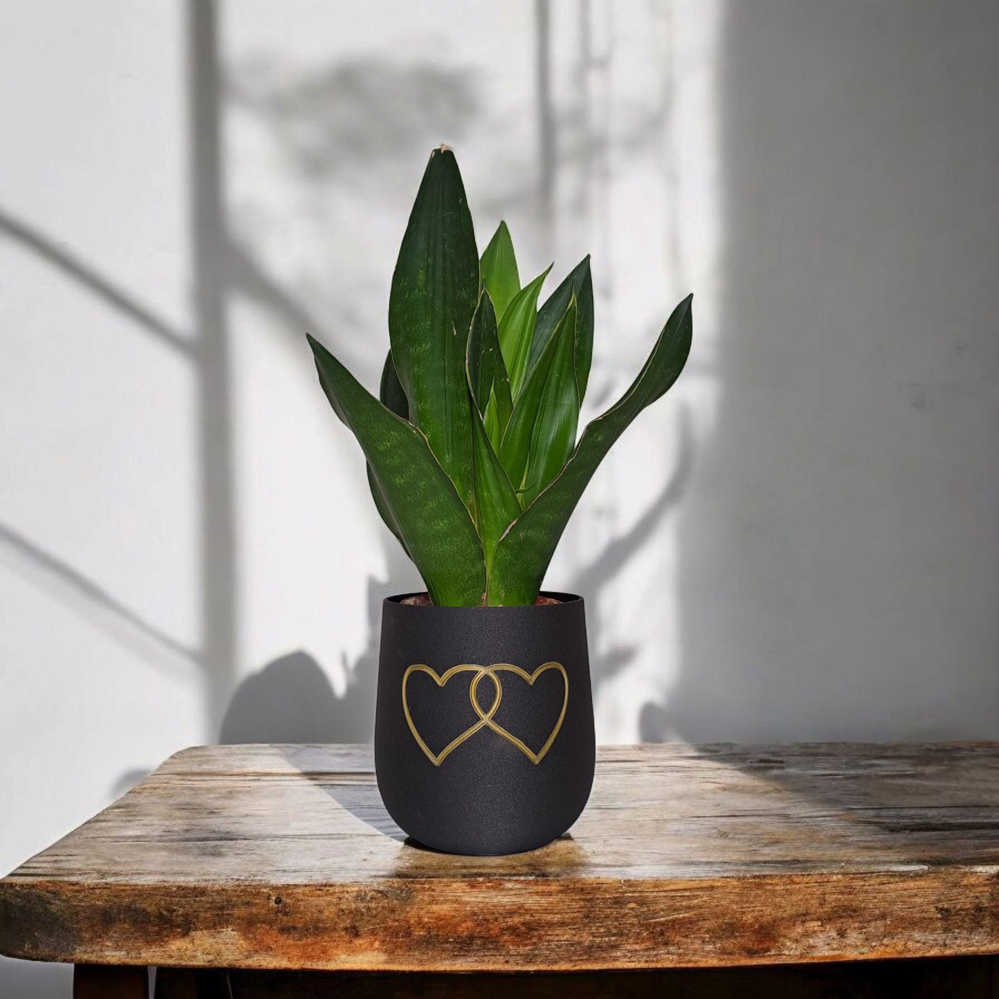 Two Hearts Planter
