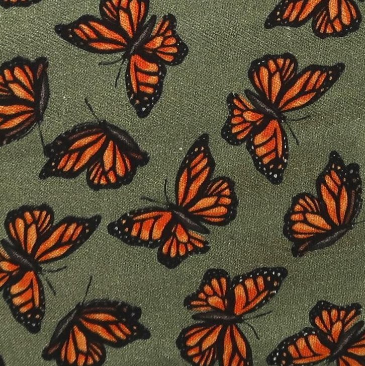 Monarchs on Sage
