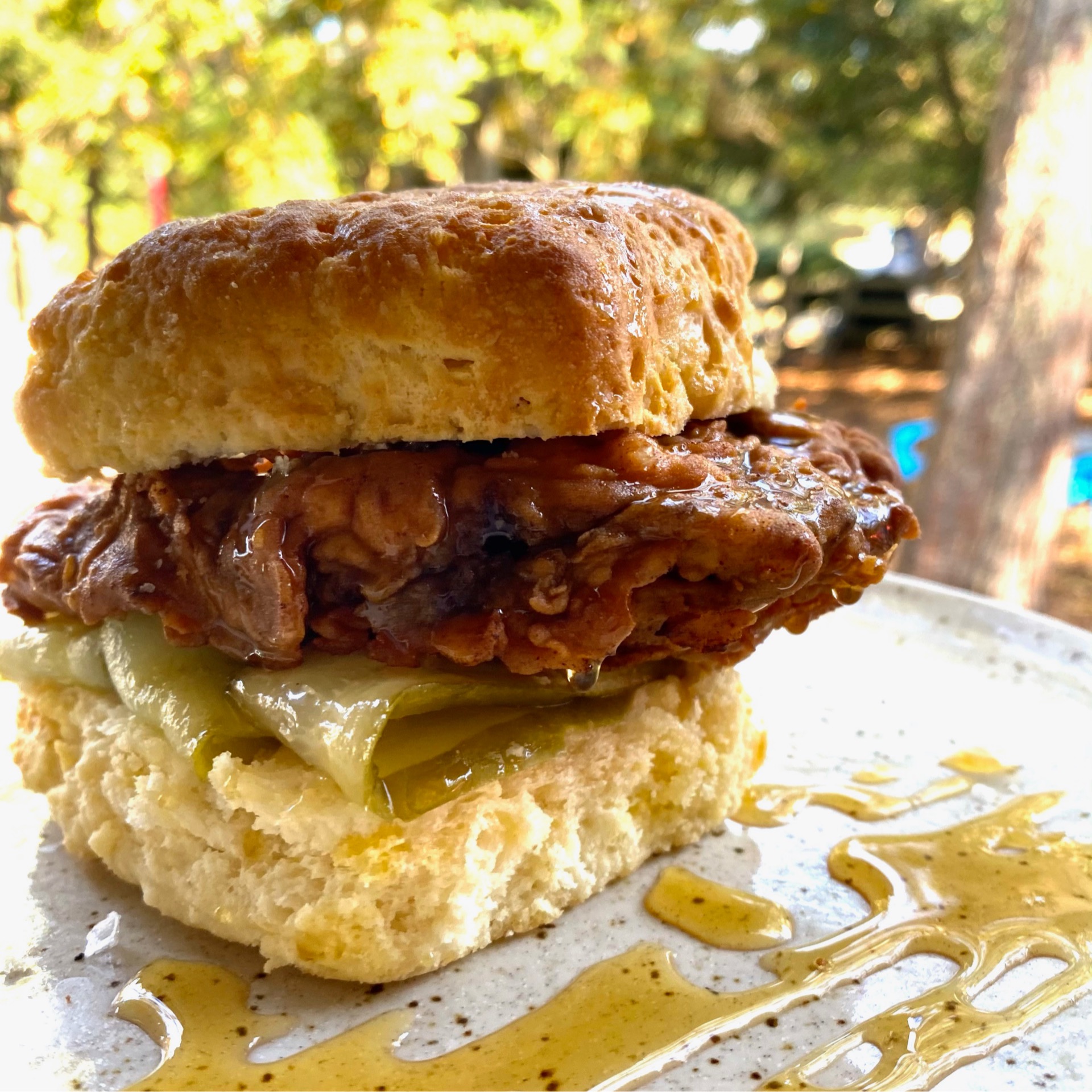 Buttermilk fried chicken biscuit