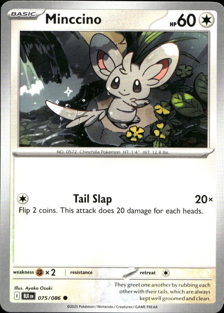 Minccino - SV10.5B 75/86