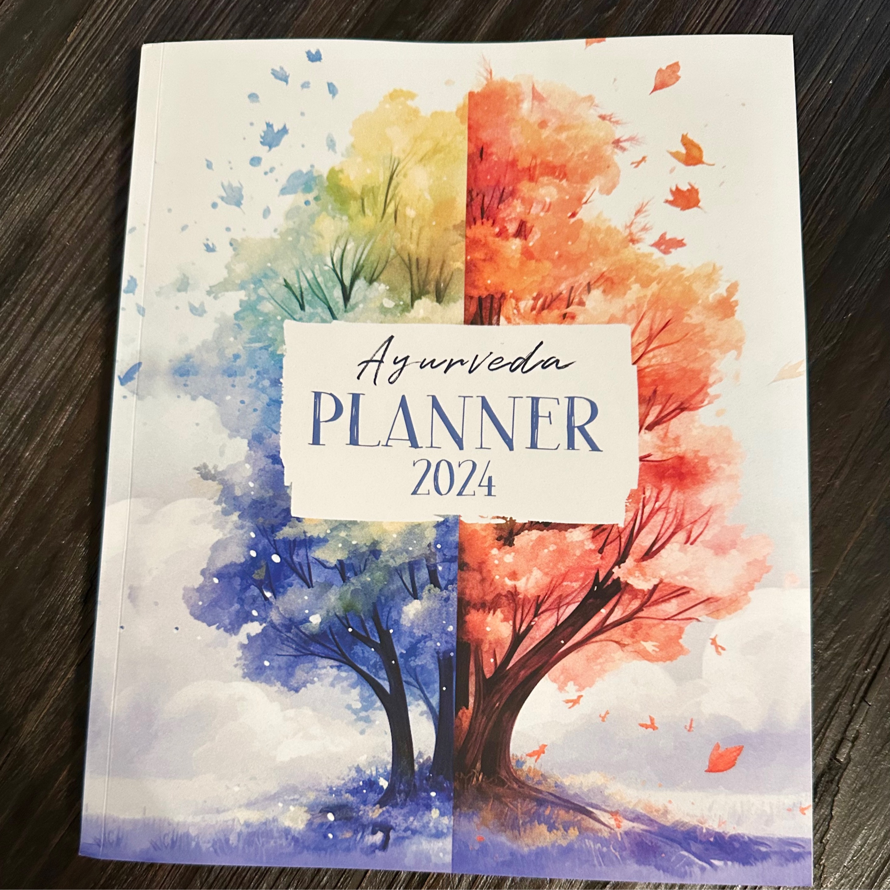 Ayurveda Planner 2024
