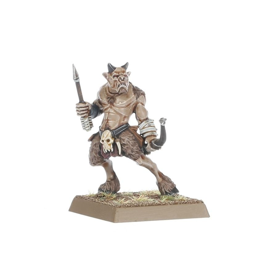 Beastmen Brayherds: Battle March Army thumbnail 10