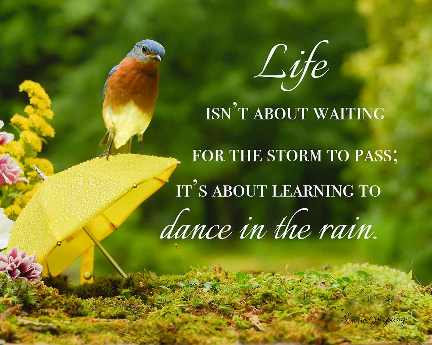 Dancing in the Rain