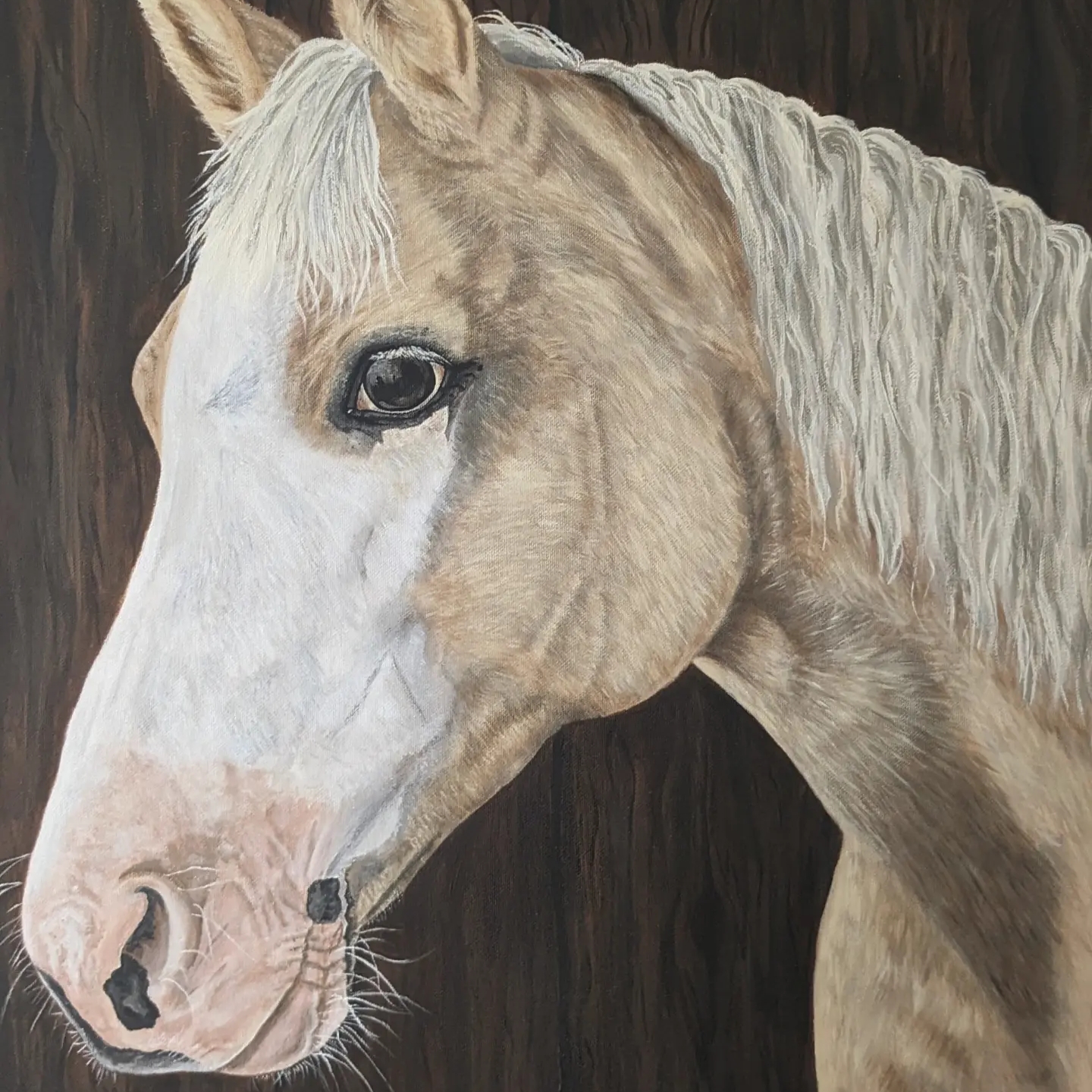 Medium (11x14") Single Pet