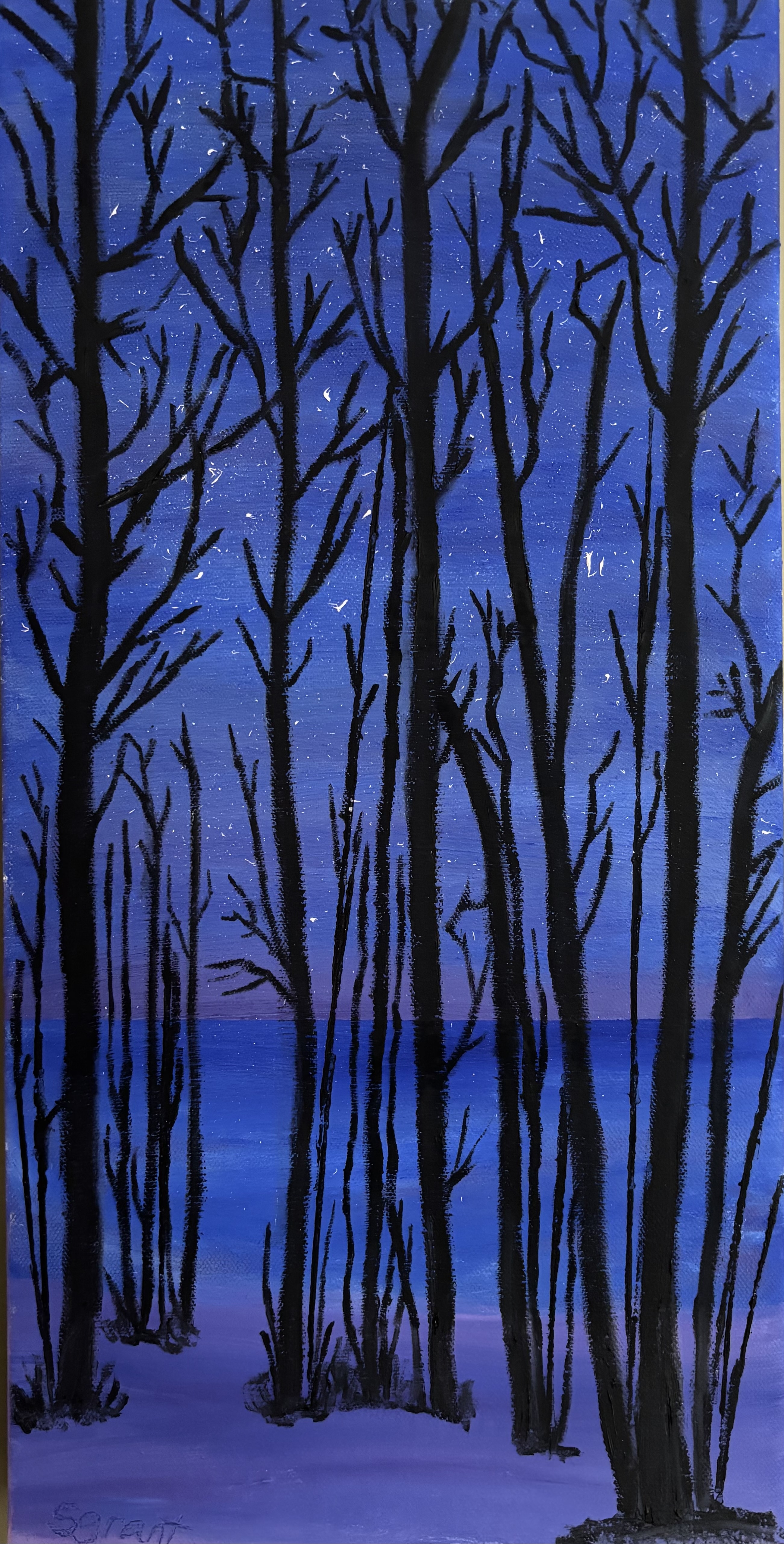 Starry  Night over the Lake