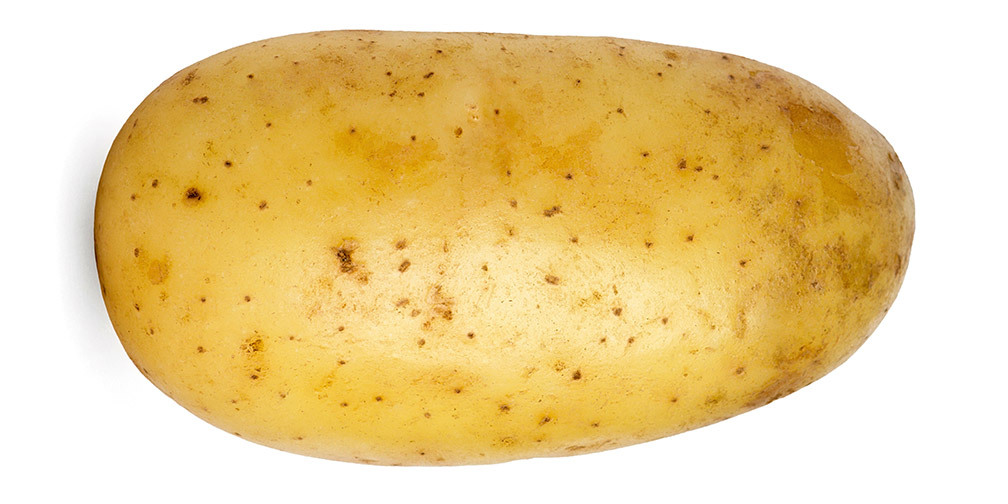 14. Potato