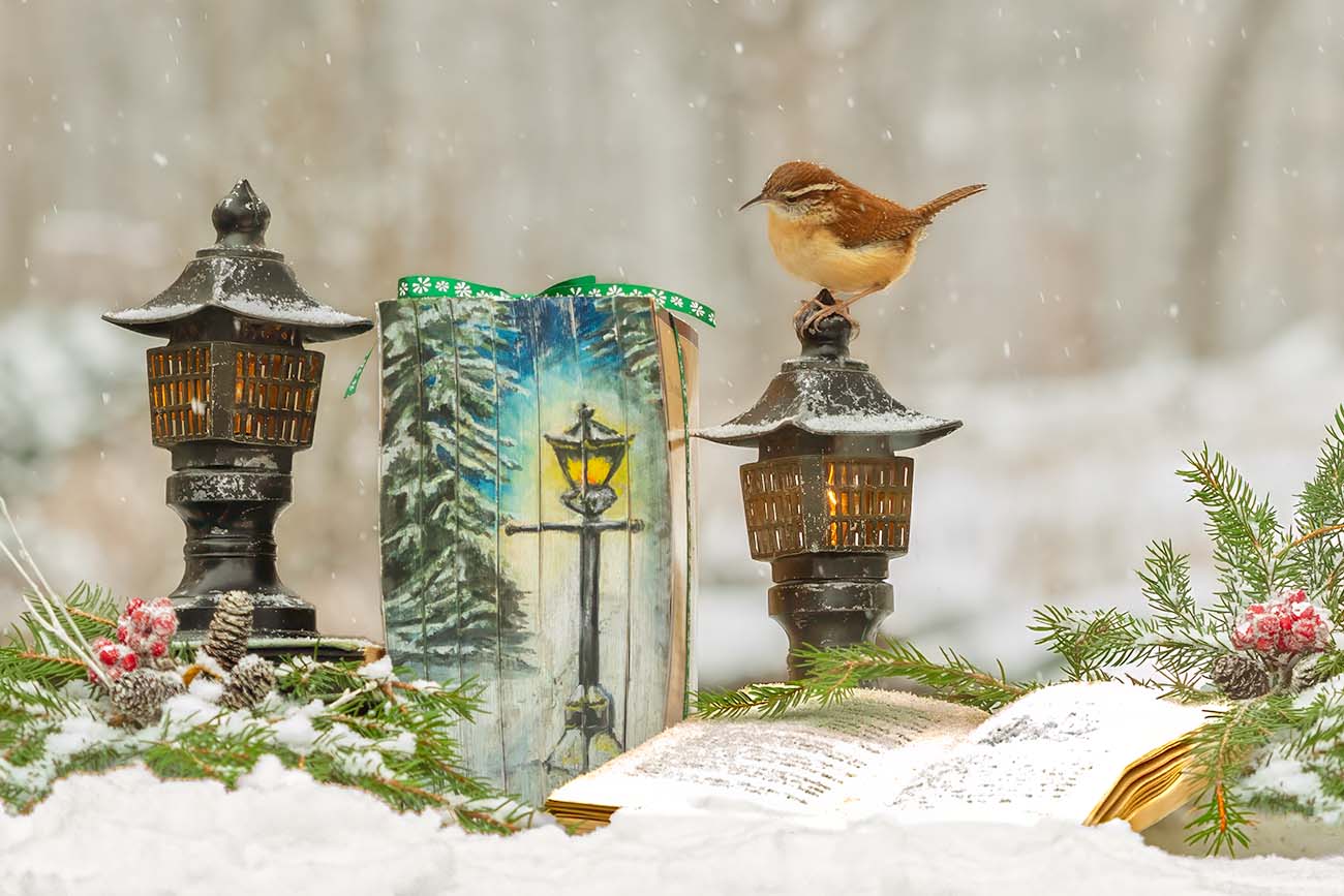 Narnian Winter