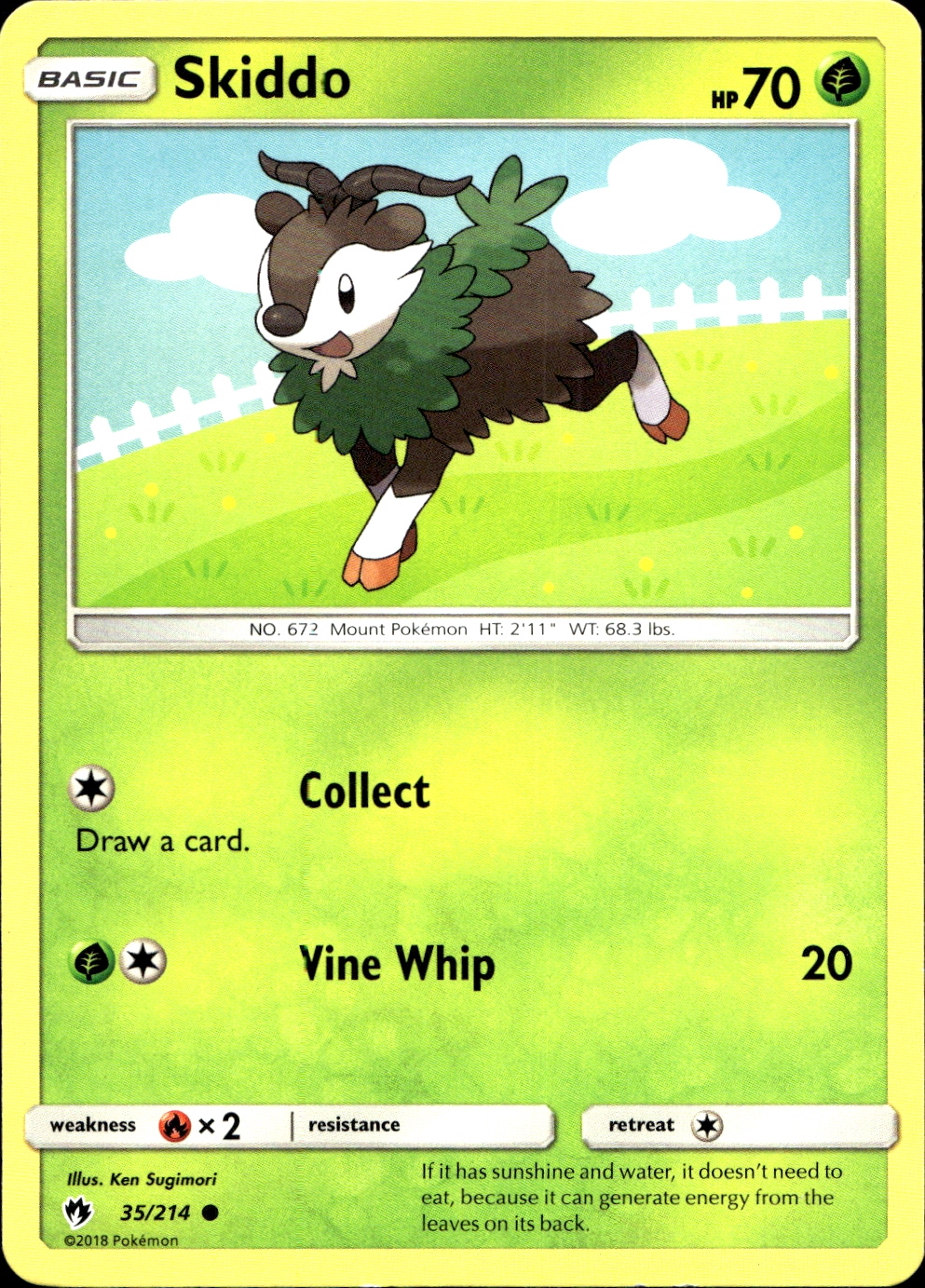 Skiddo - SM8 35