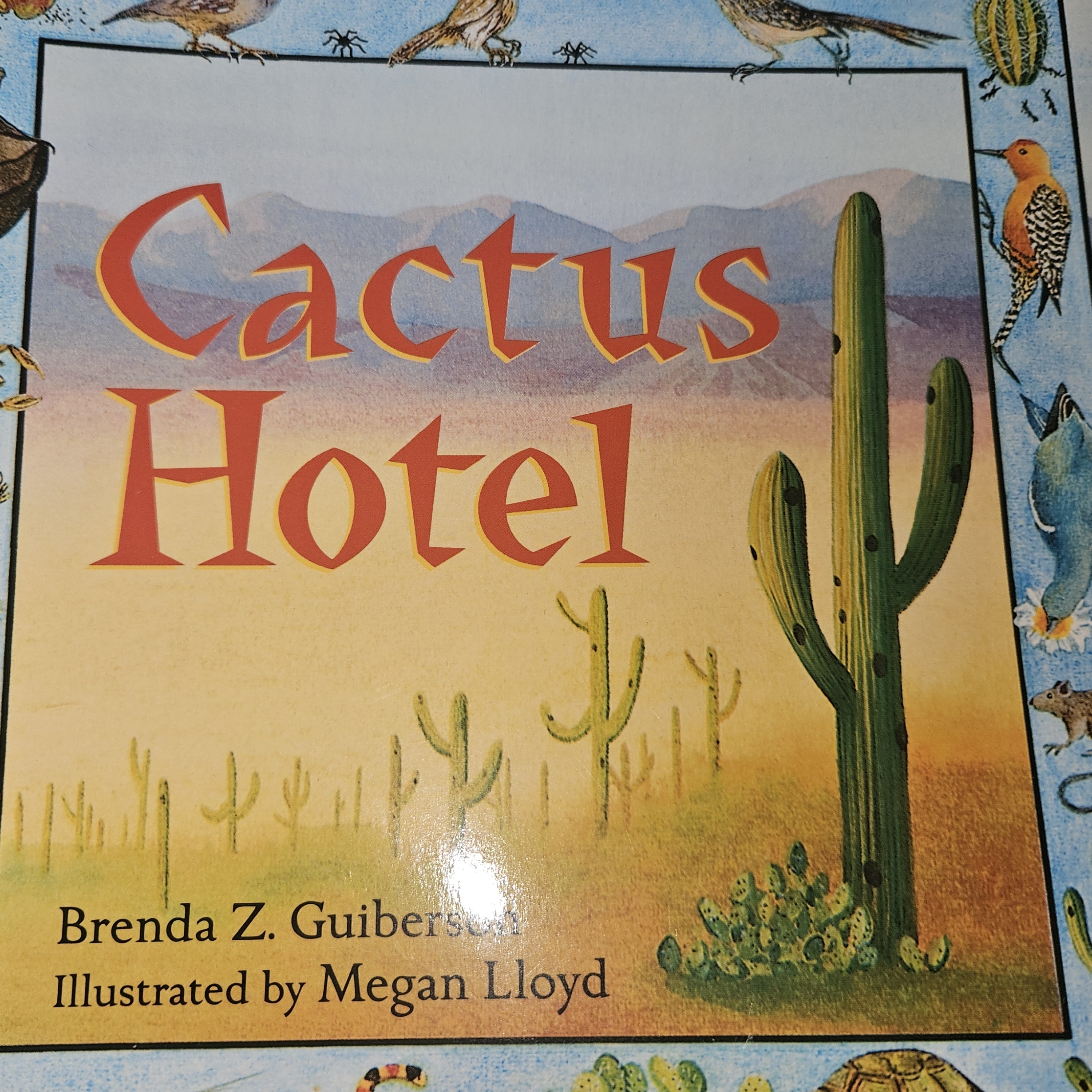 Cactus Hotel S/C