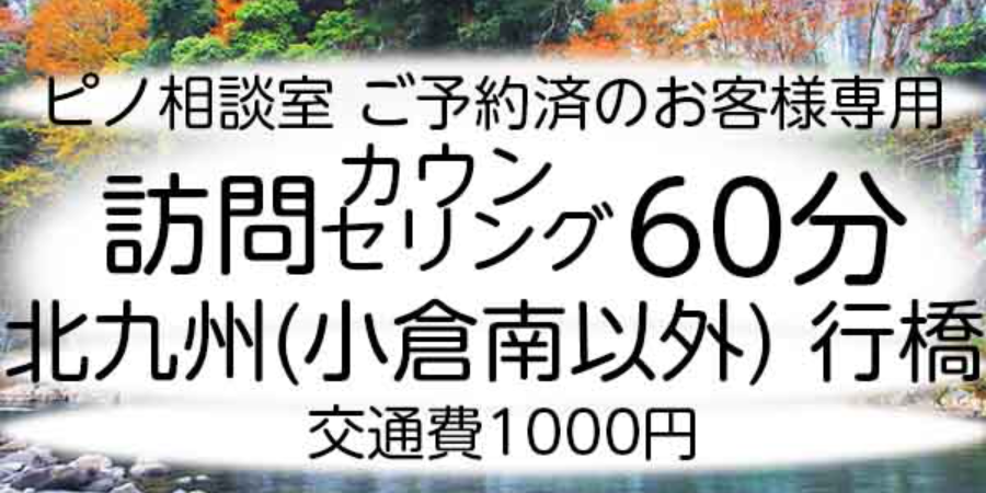 訪問カウンセリング60分（北九州市（小倉南区以外）行橋市）