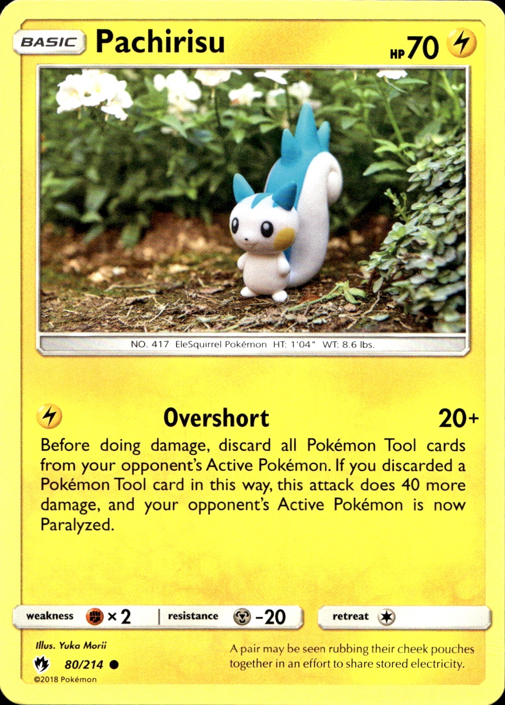 Pachirisu - SM8 80