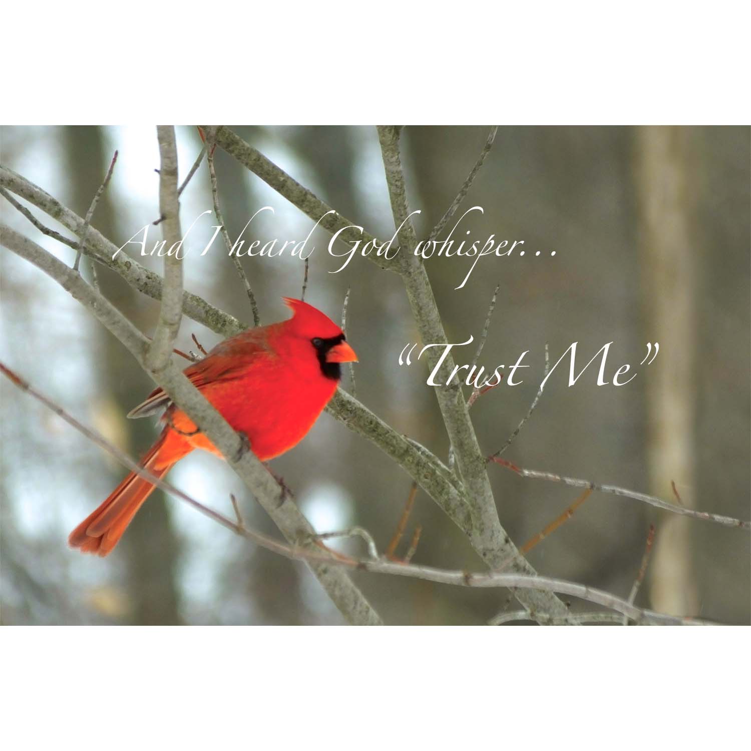 I Heard God Whisper
