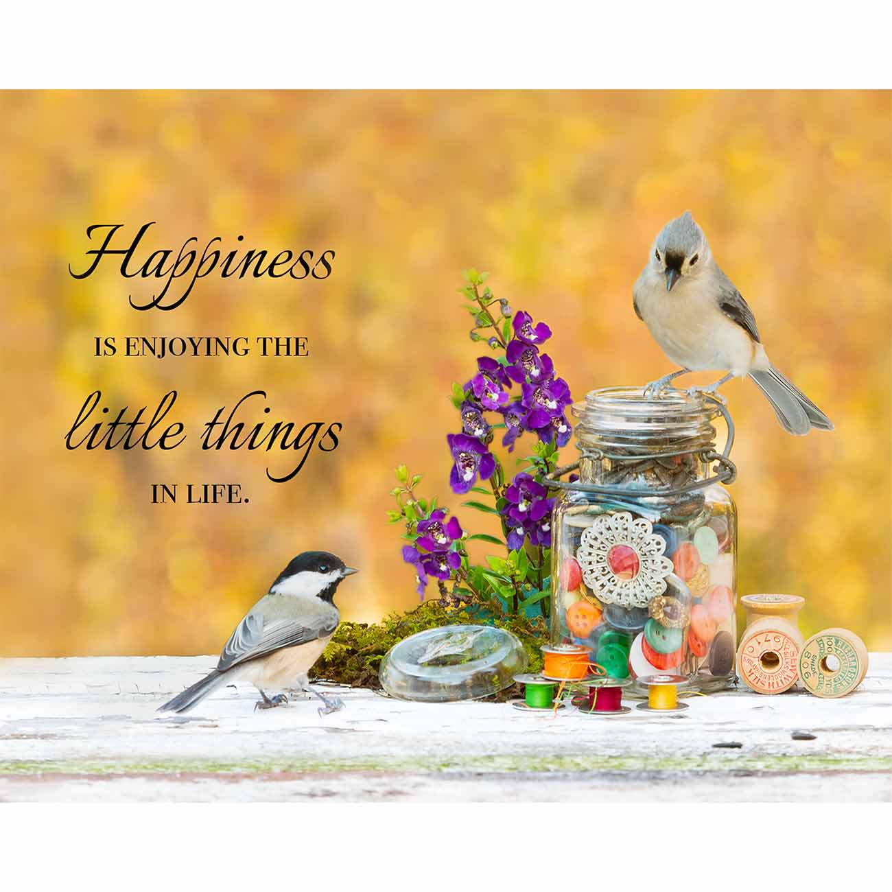 Happiness