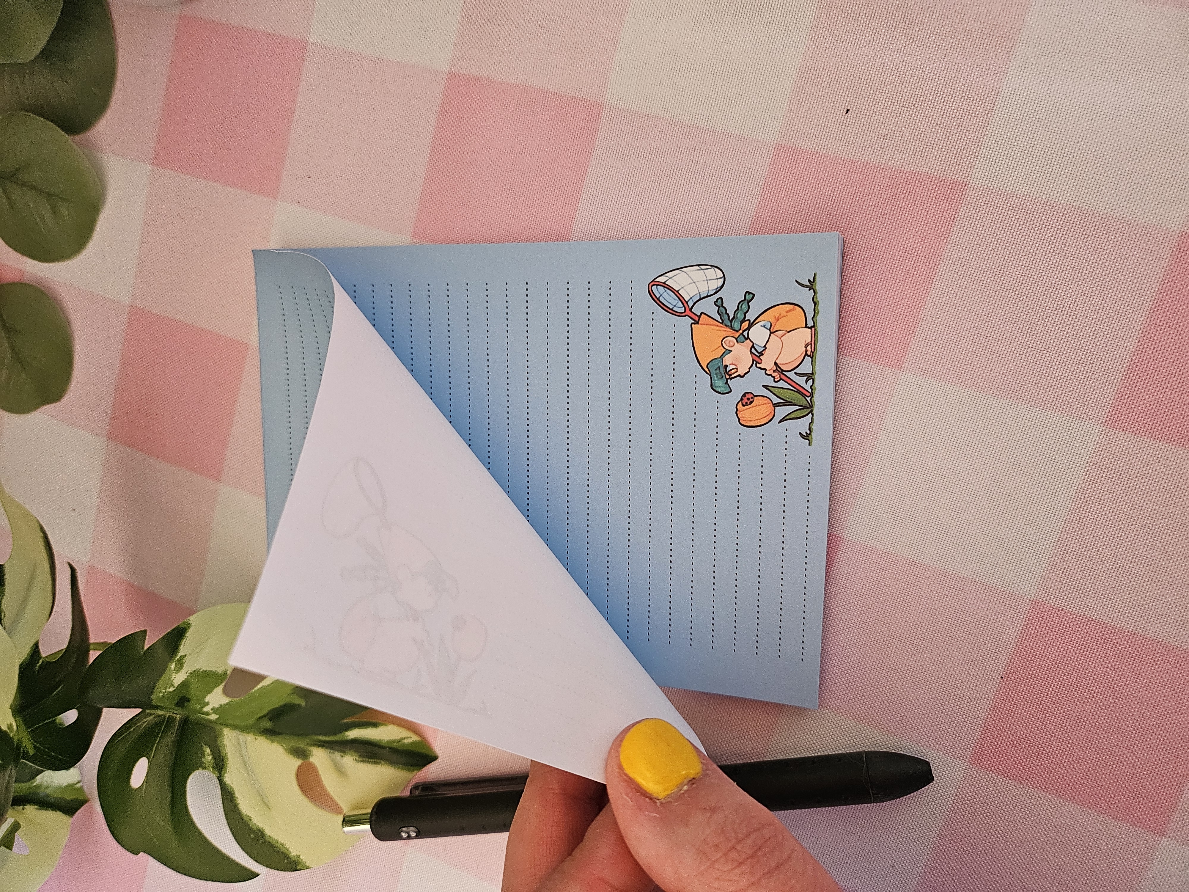 Juno Curious Notepad