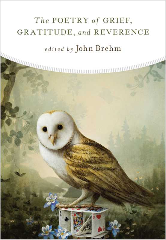 Poetry of Grief, Gratitude, and Reverence by John Brehm: Paperback; 320 pages, English