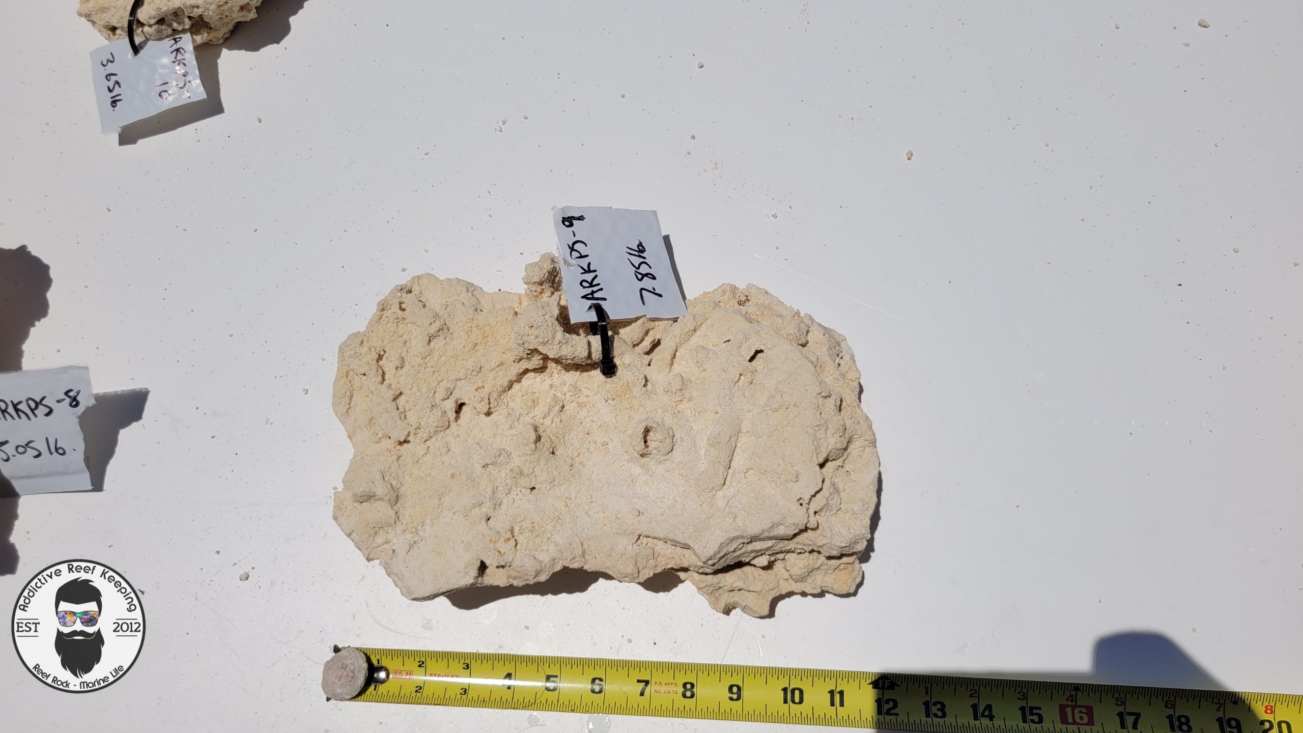 WYSIWYG Premium Shelf Rock- ARKPS-9 7.85lb