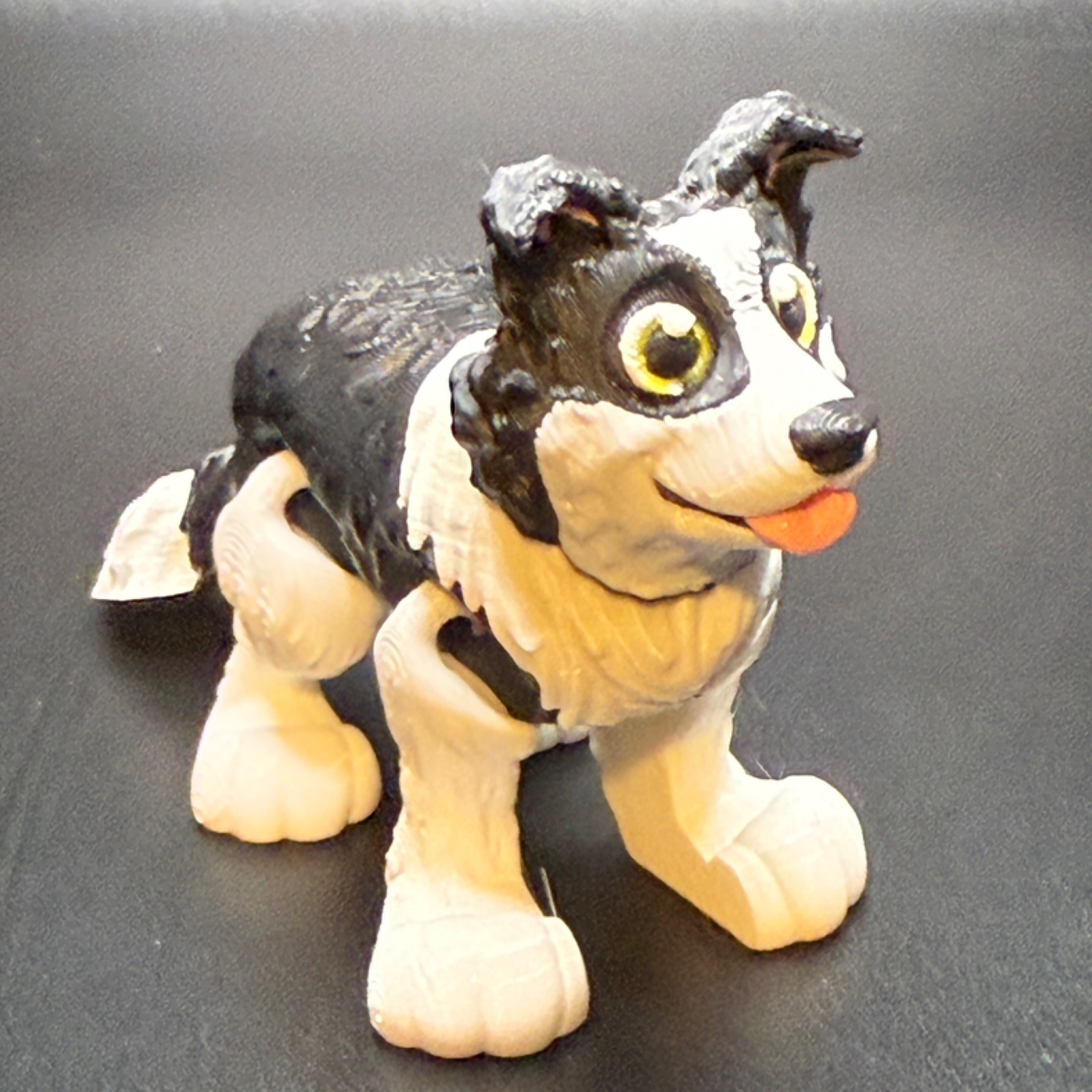 Border collie