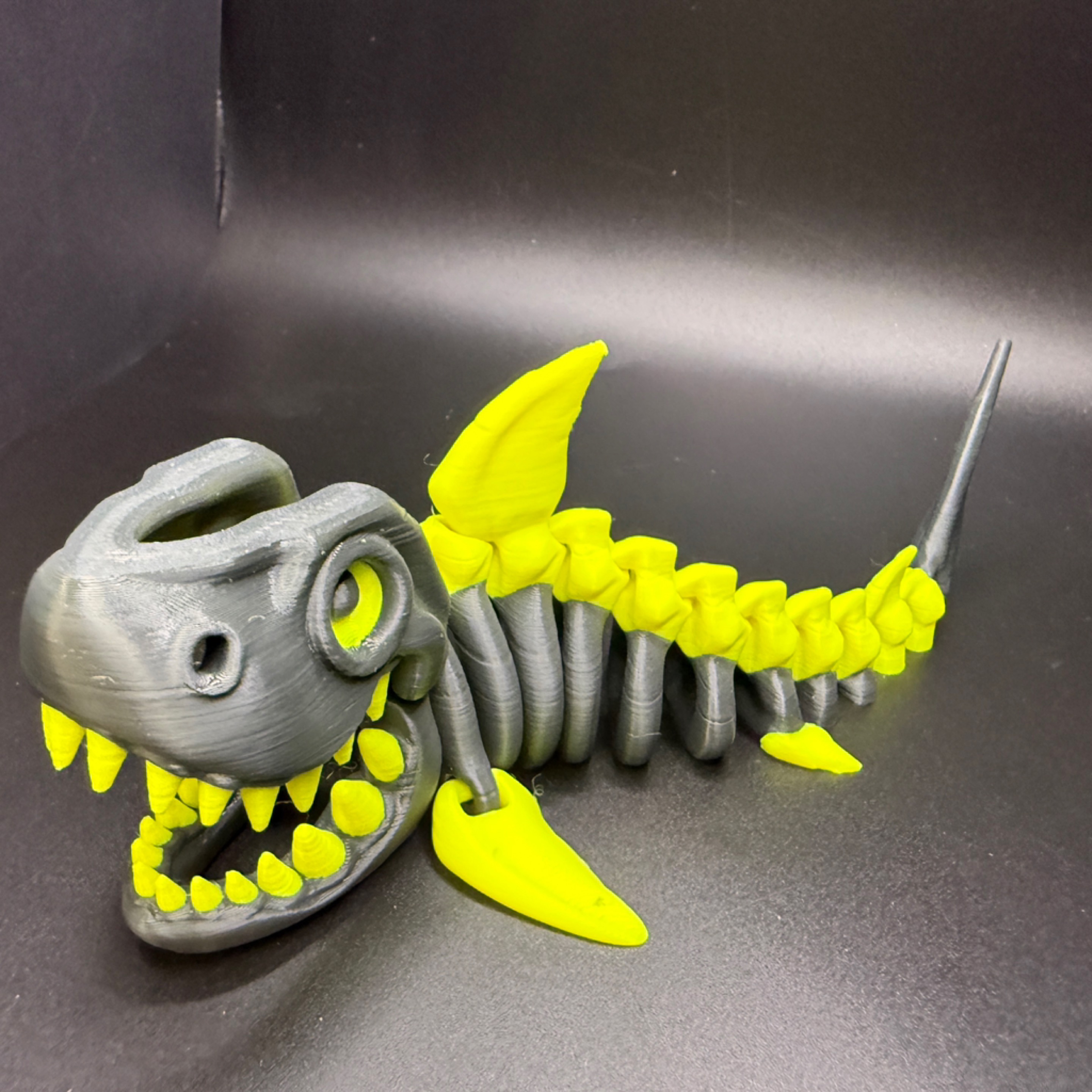 skeleton shark