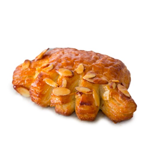 Almond Bear Claw