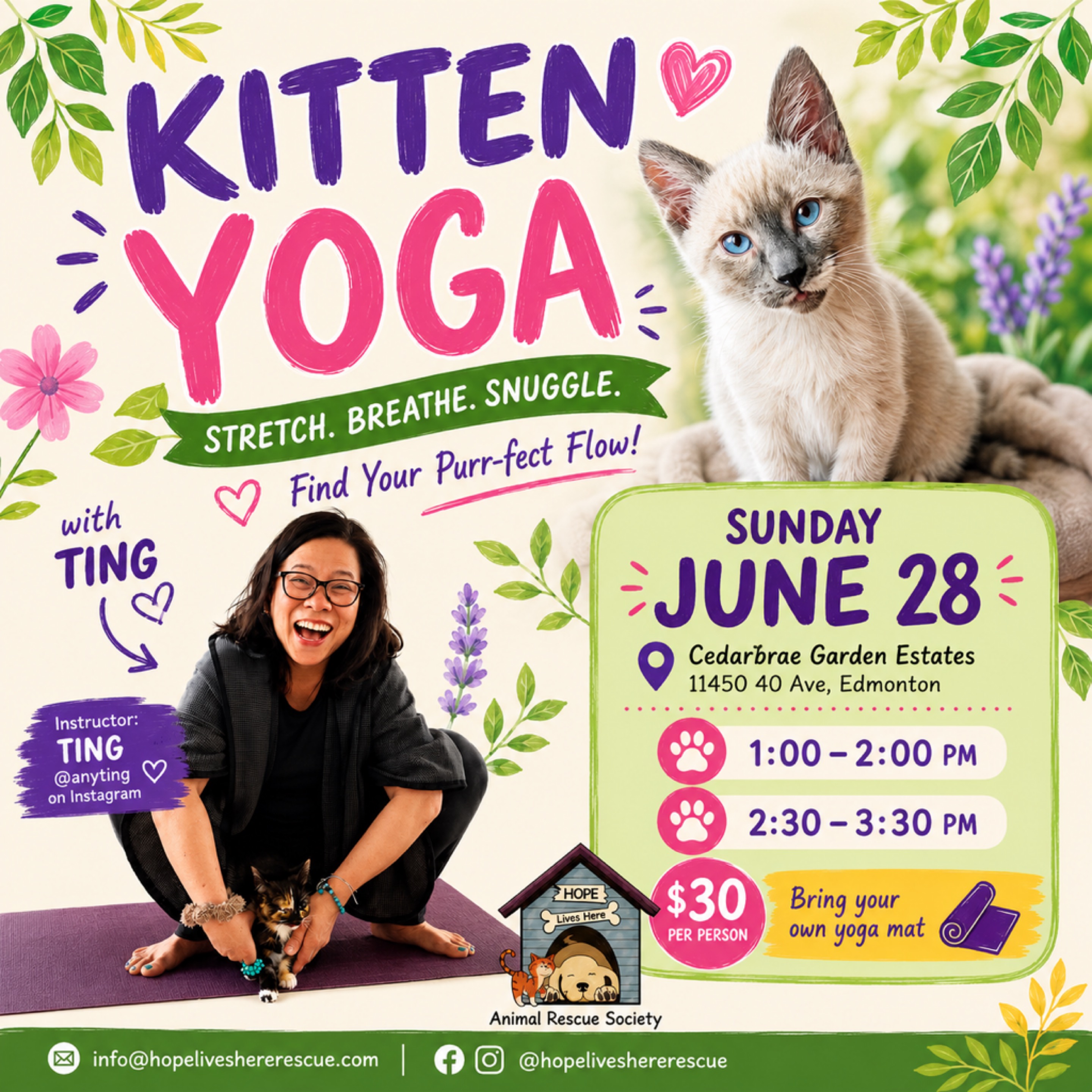 Stretch & Snuggle: HLH Kitten Yoga Fundraiser