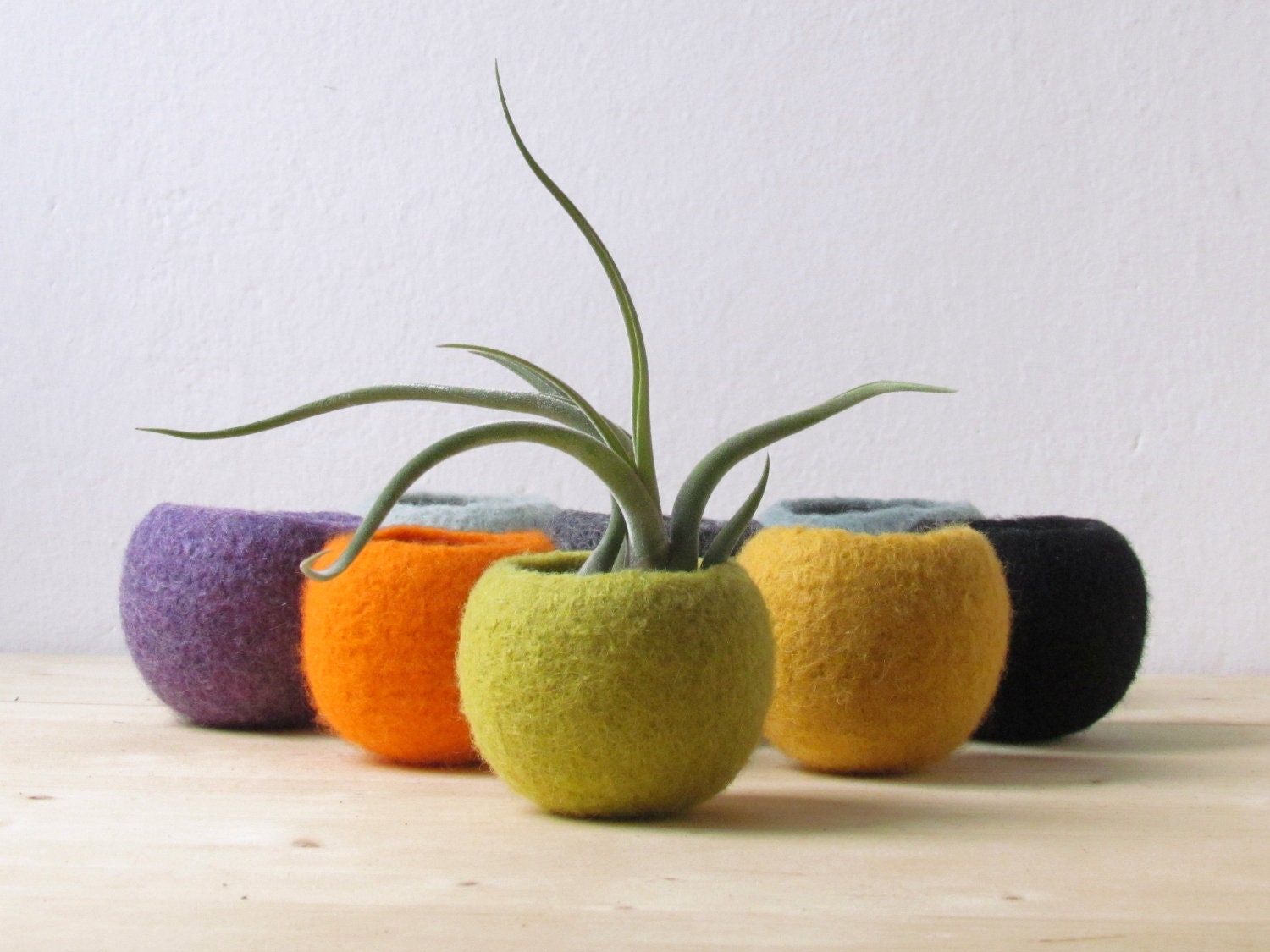Cozy Felt Planter