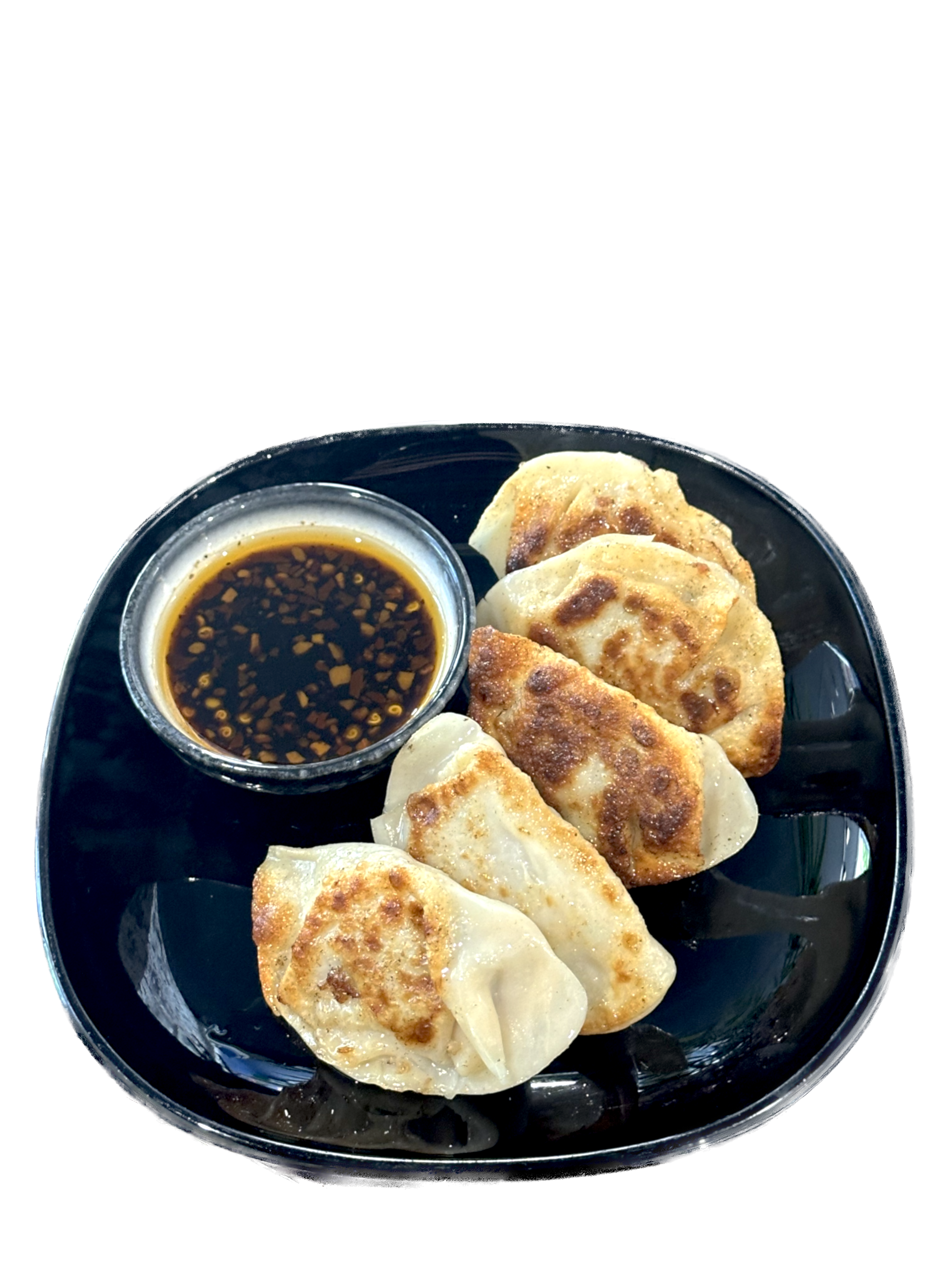 Pan Fried (5)