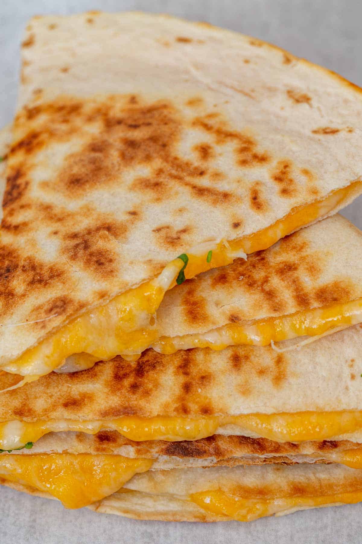 The Quesadilla
