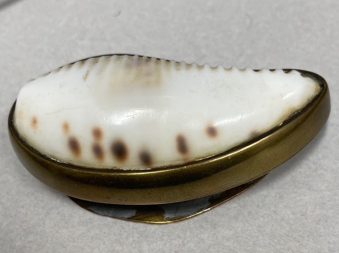 Vintage Cowrie Shell Snuff box