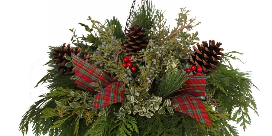 Holiday Hanging Basket