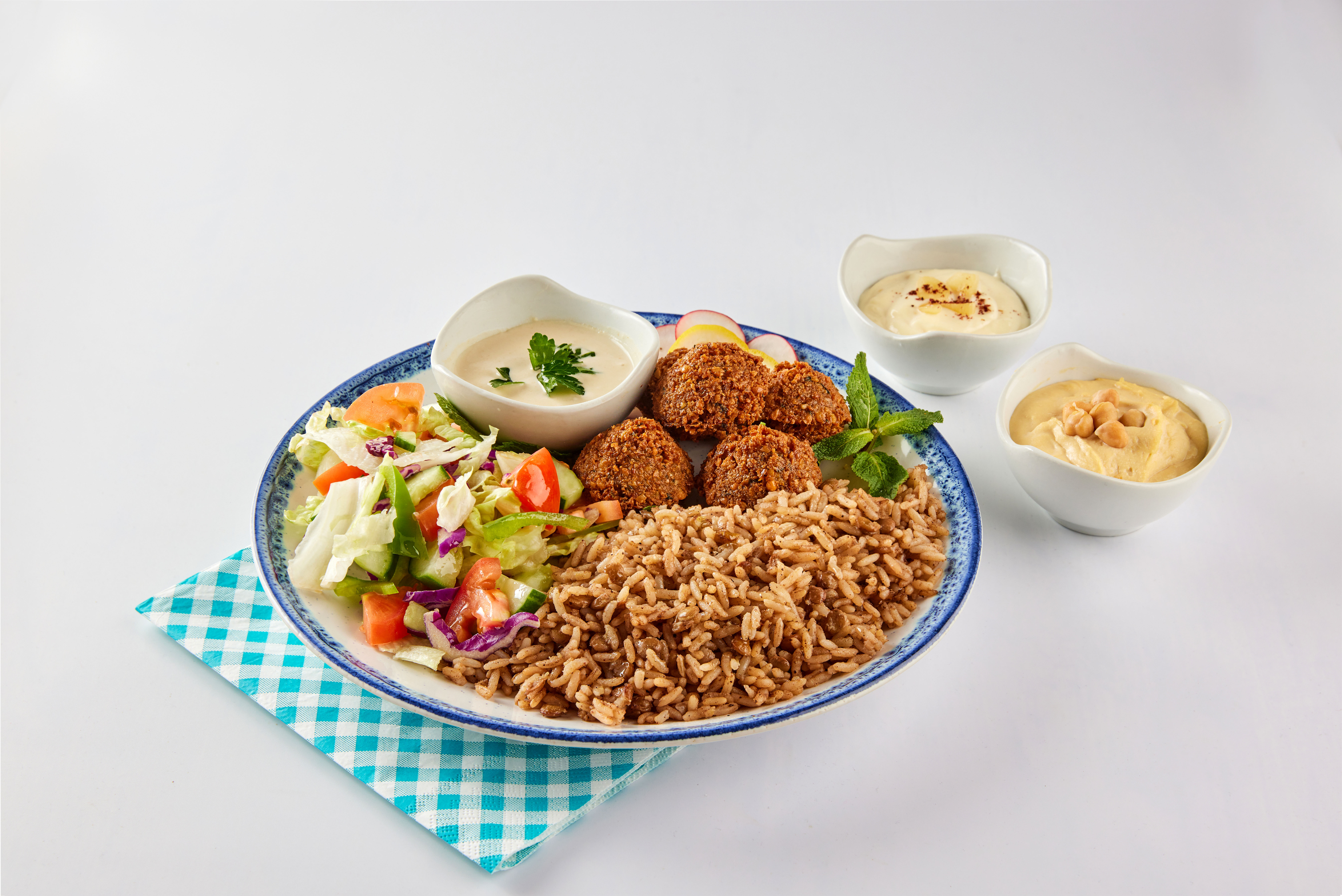 Falafel Plate
