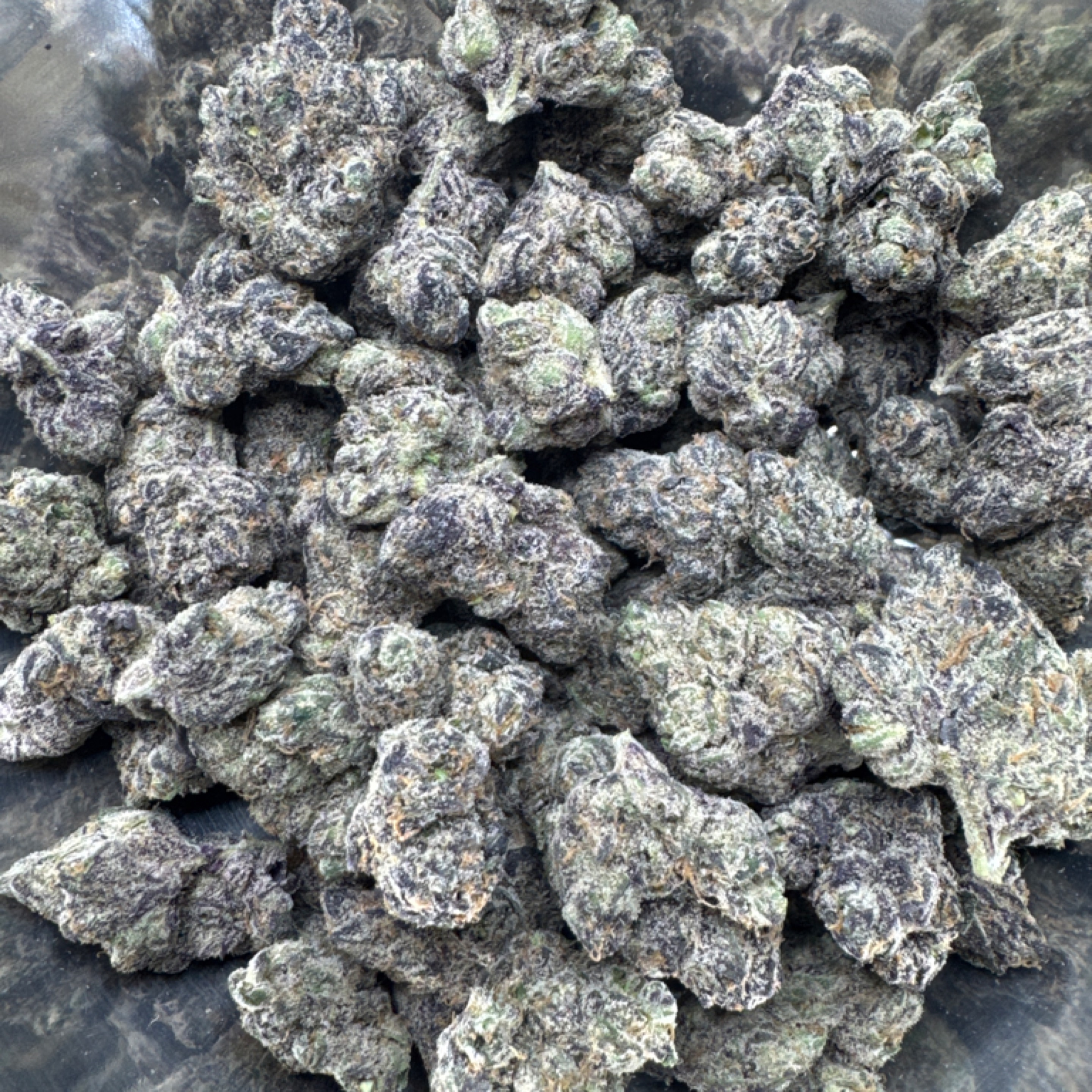 Tokyo Gumdrop 21.69% THCA - Regular