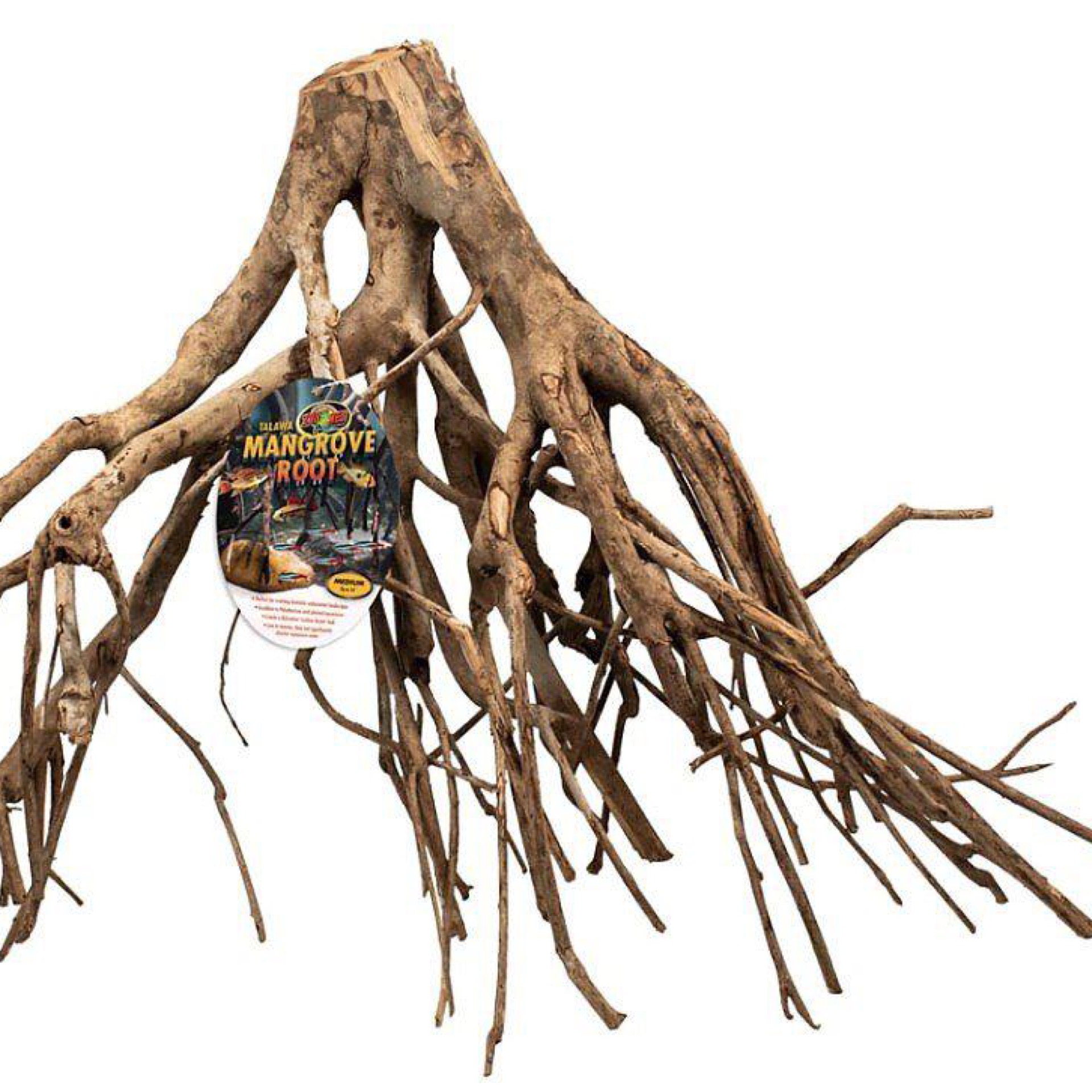 Talawa Mangrove Root Wood for Aquarium