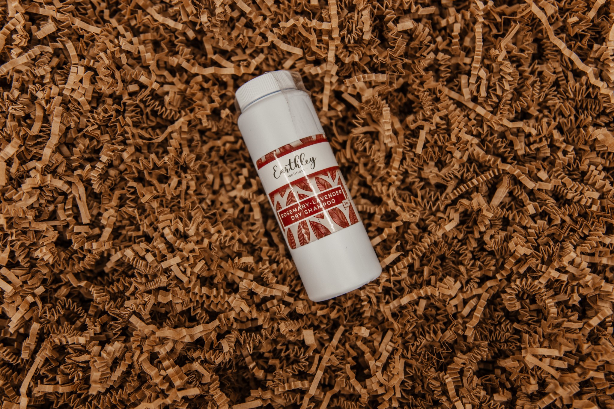 Dry Shampoo (Earthly)