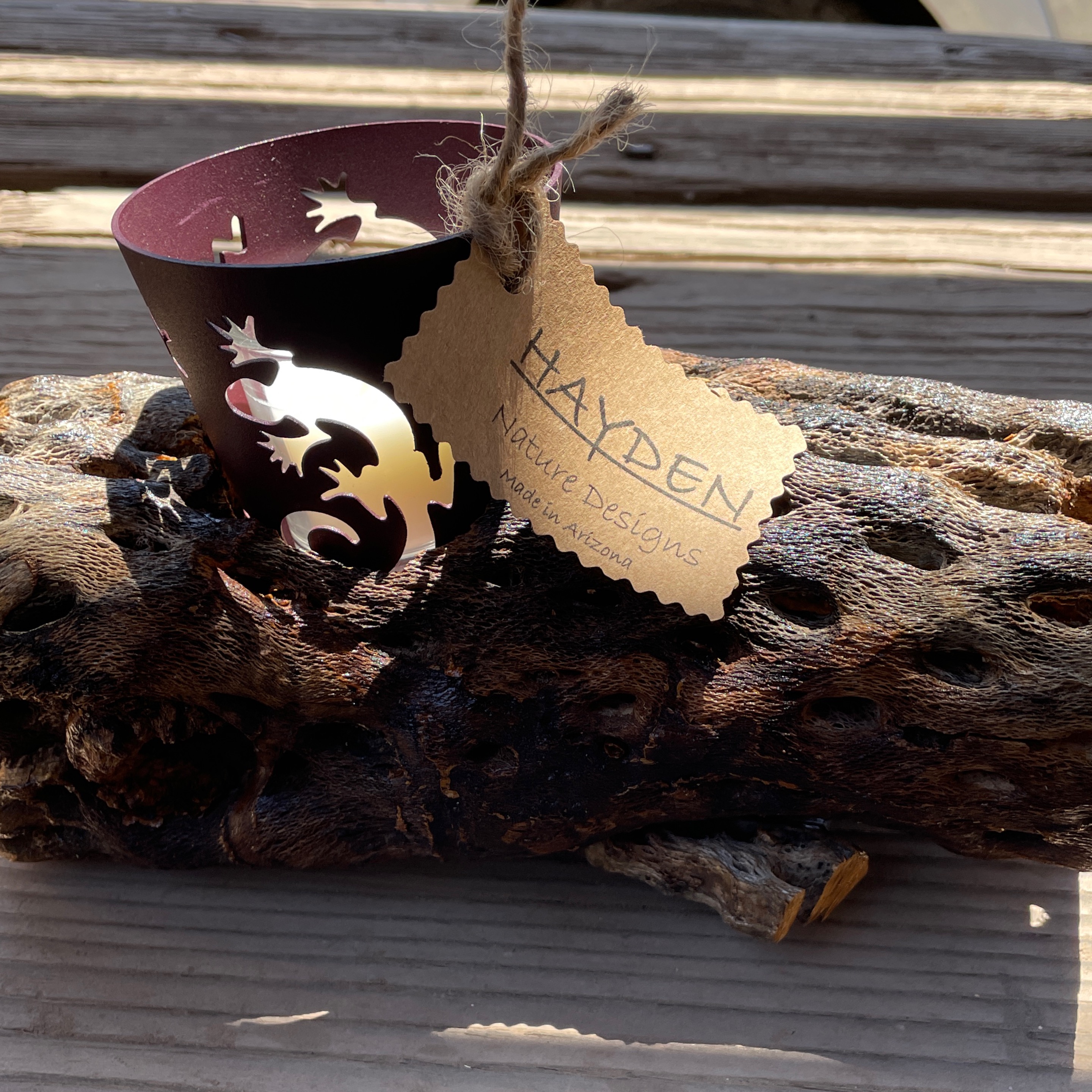 Cholla Cactus Candle Holder (medium)