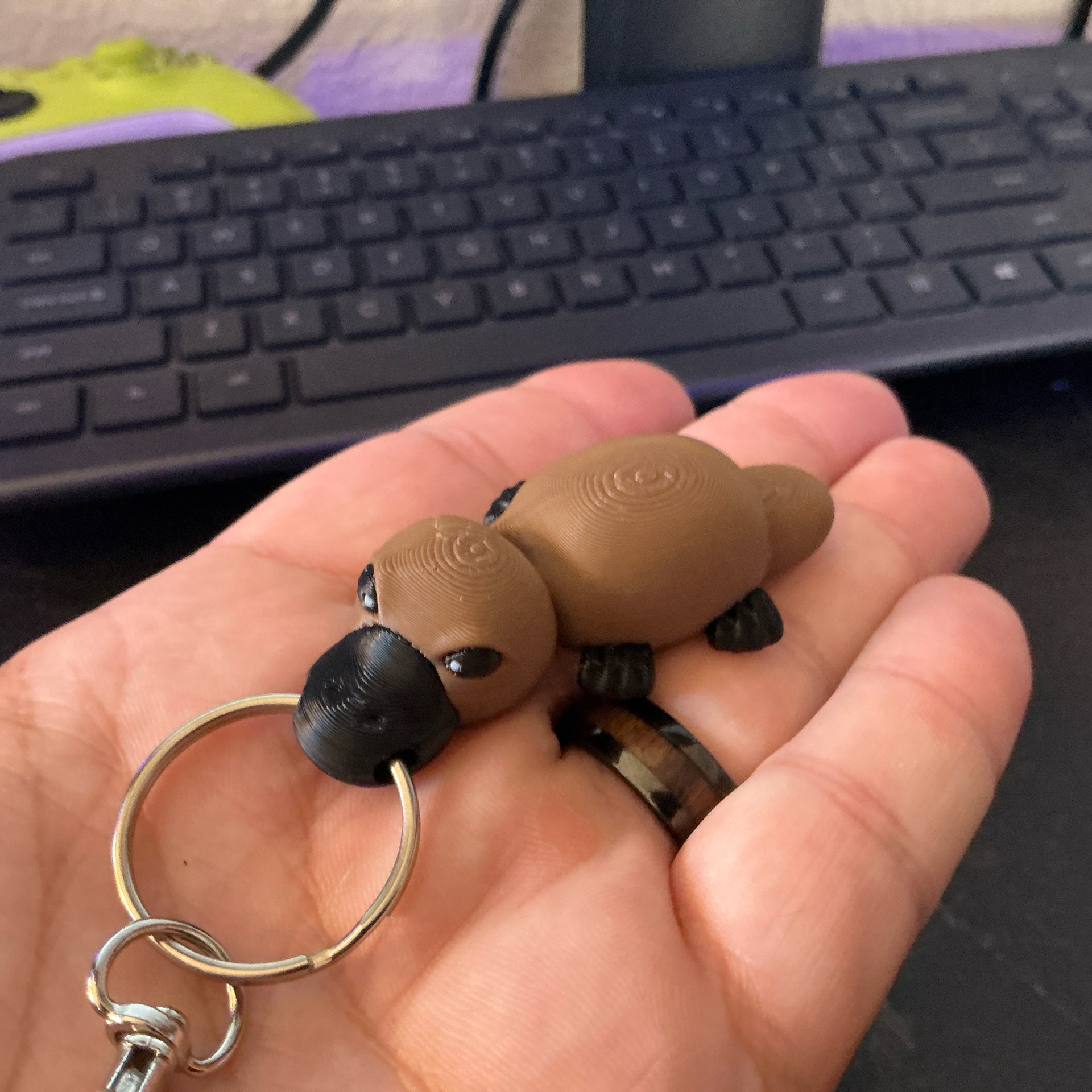 KC Platypus