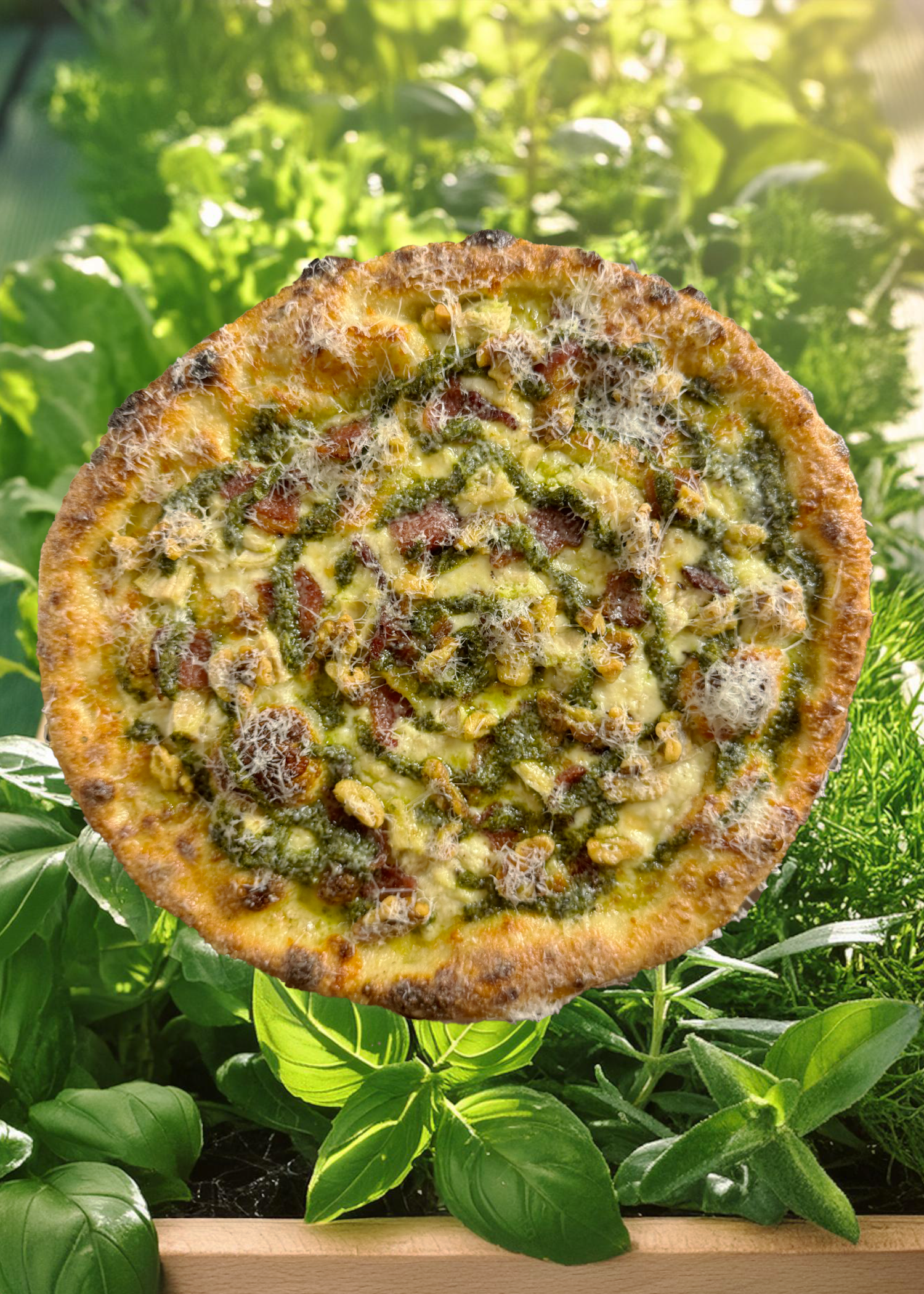 14” NY Chicken Bacon Pesto