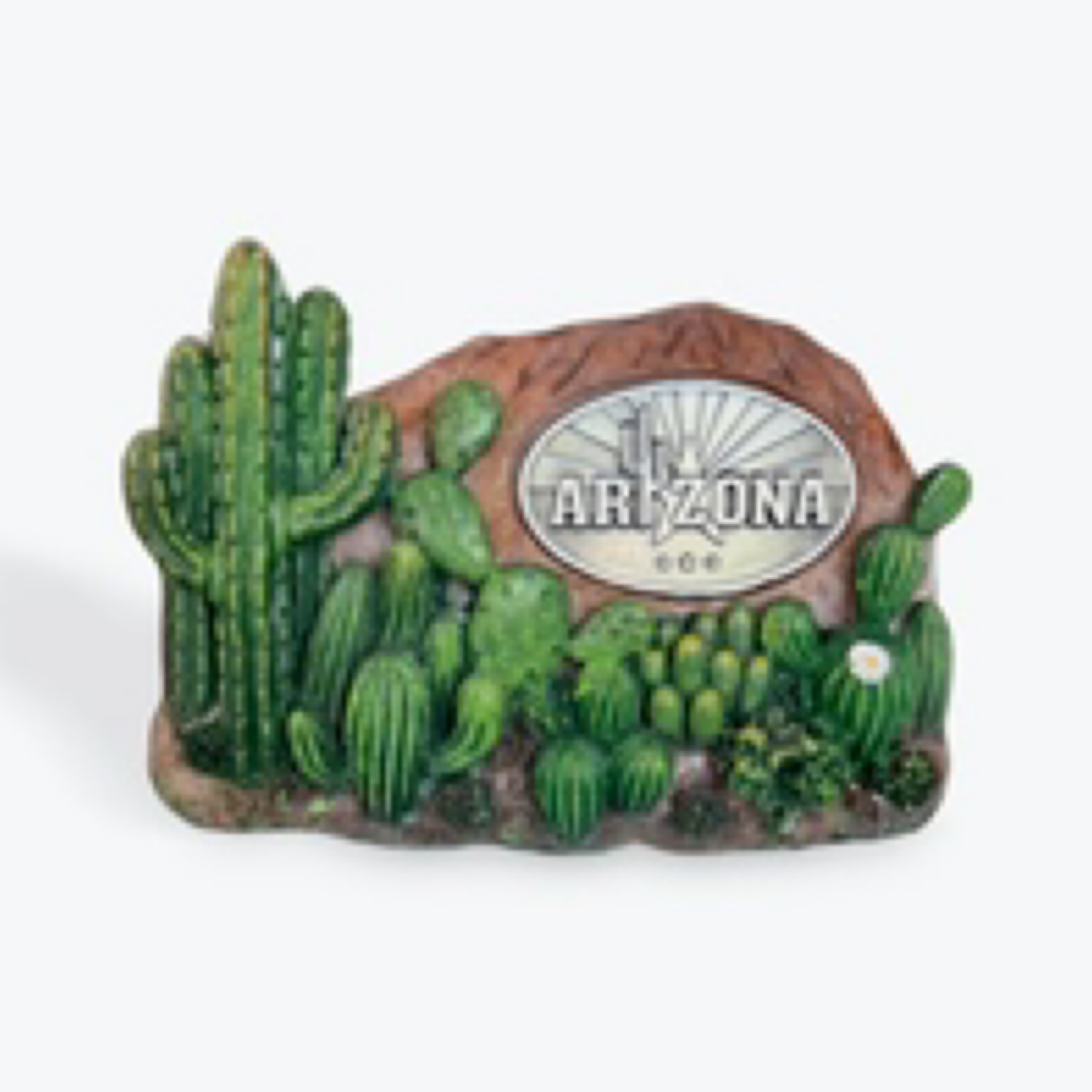 Cactus Magnet