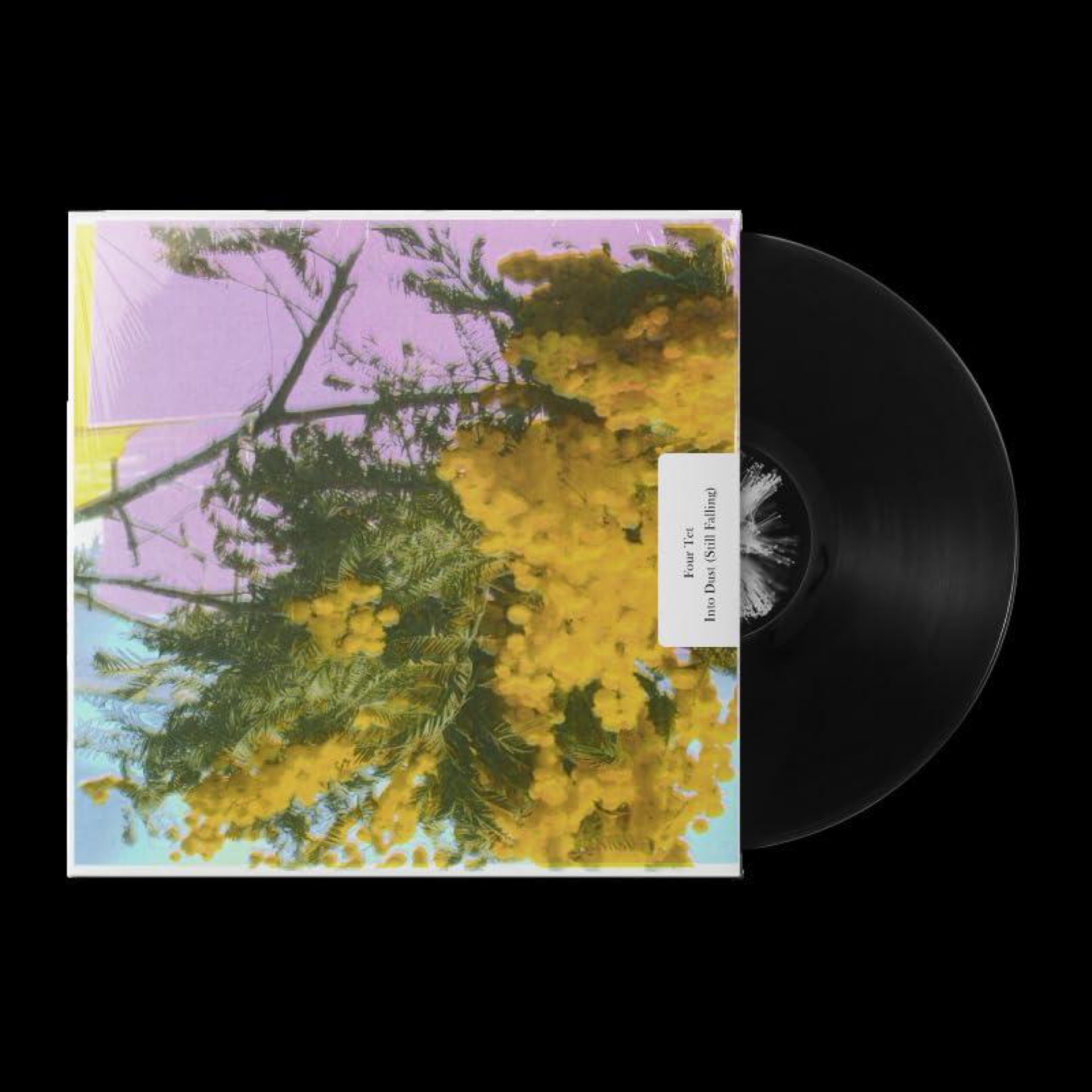 Four Tet - Into Dust (Still Falling) [VINYL] by Unknown Artist - View 1