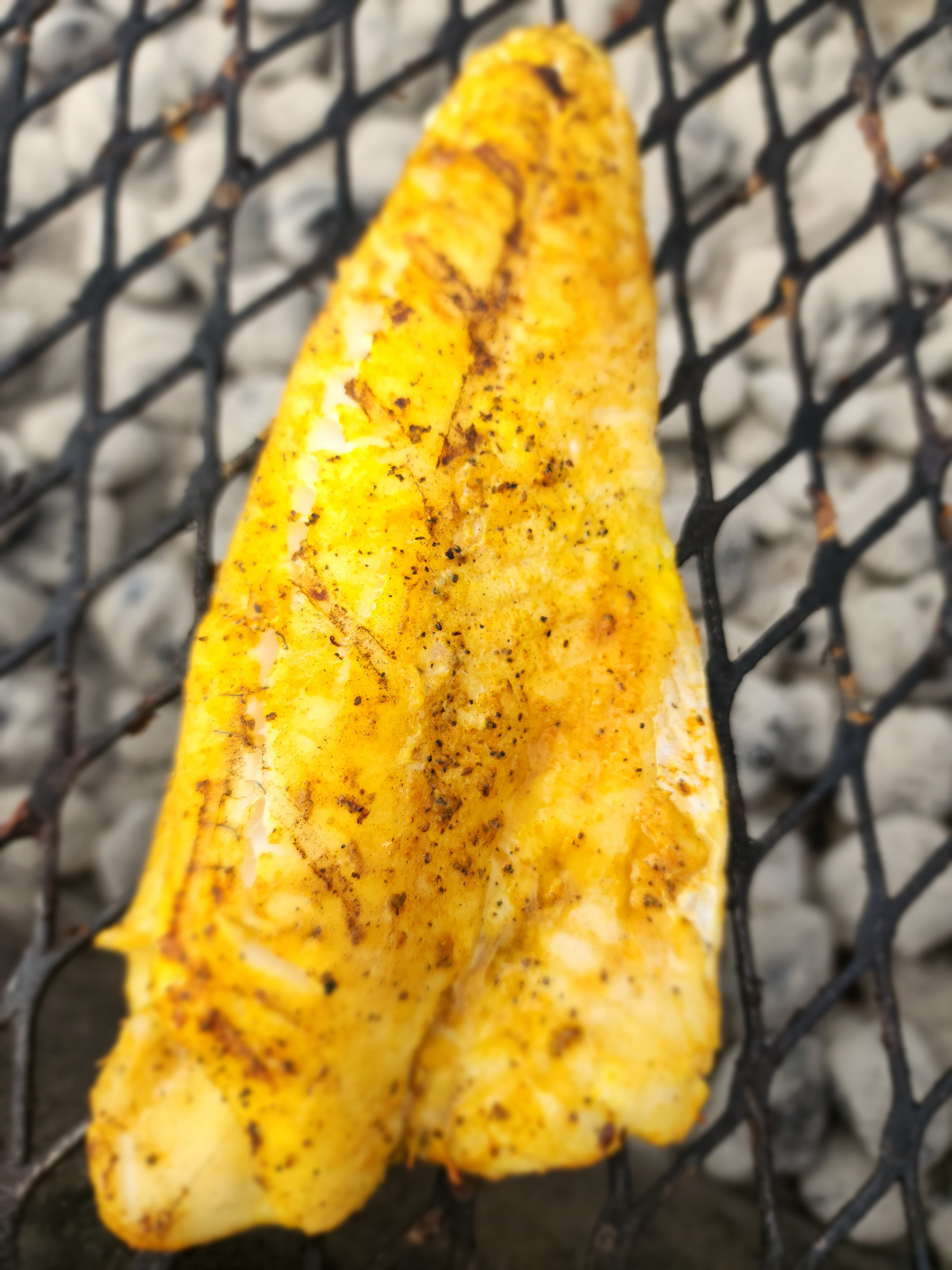 Grilled Walleye filet