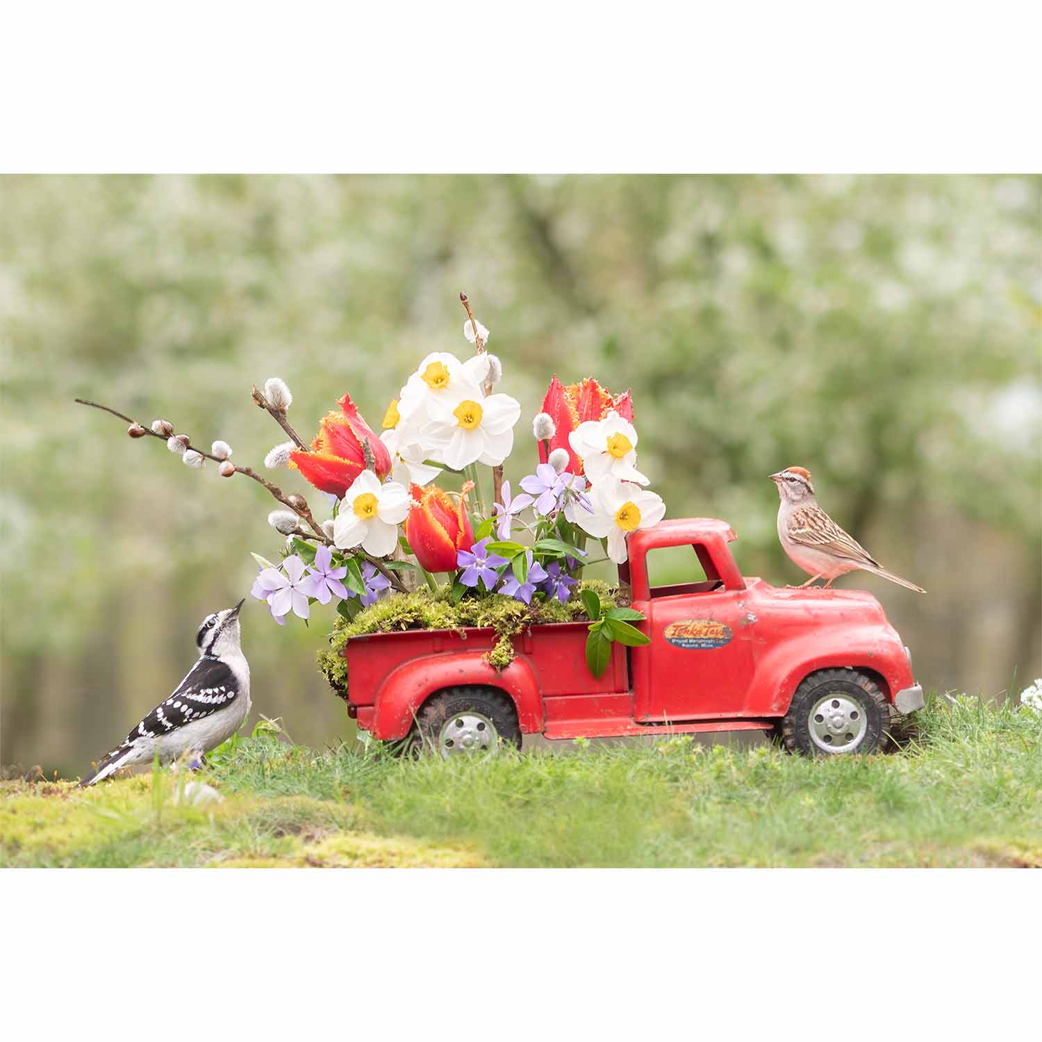 Pickup Full of Posies