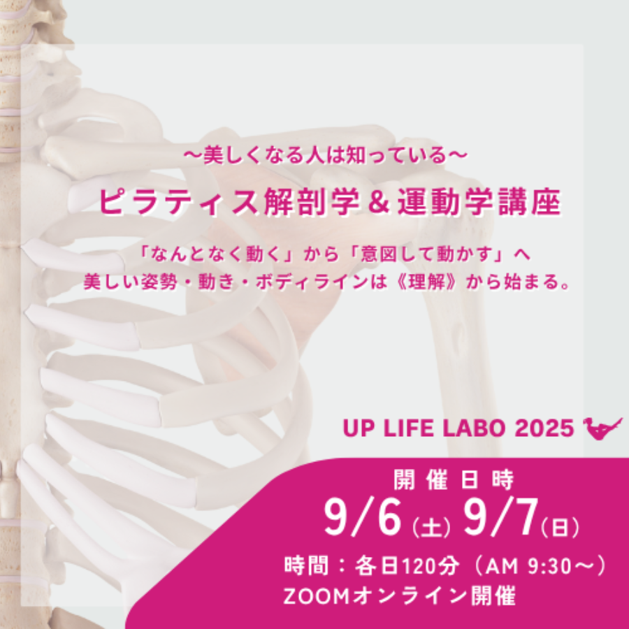 解剖学セミナー