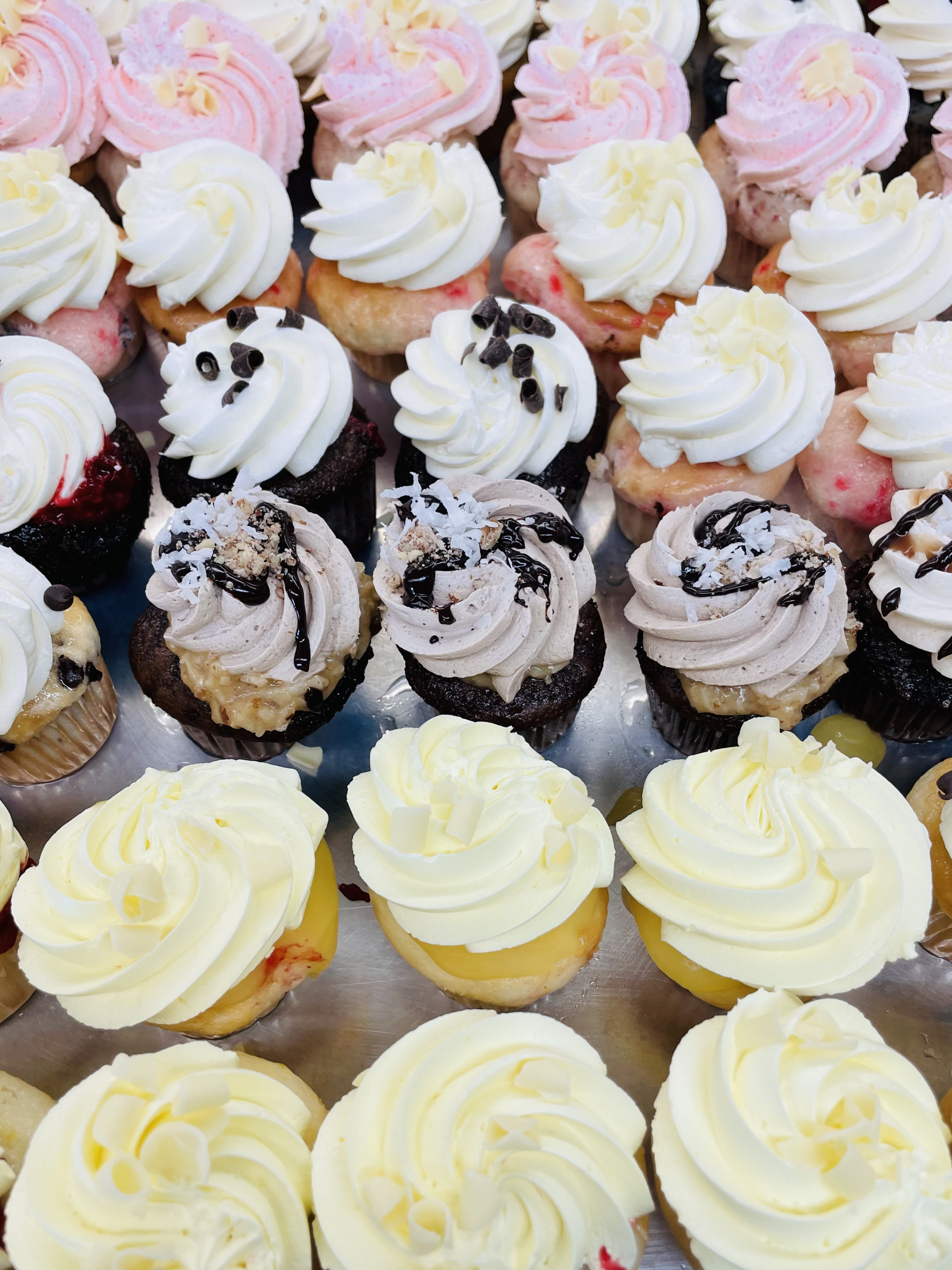 Two Dozen Mini Cupcakes