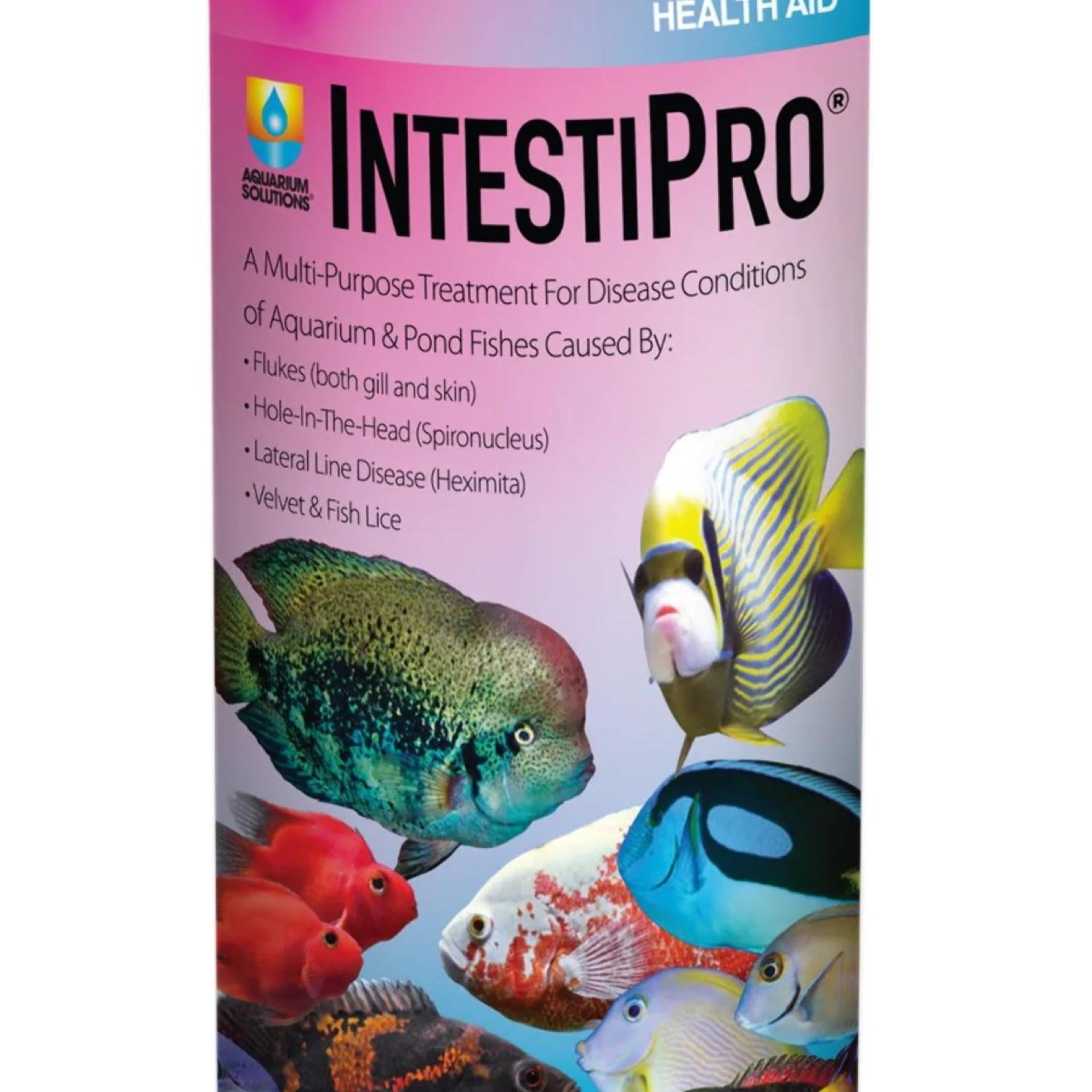 Hikari Aquarium IntestiPro Powdered Treatment (3.5 oz)