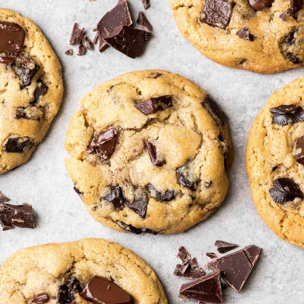 Chocolate Chip Cookie