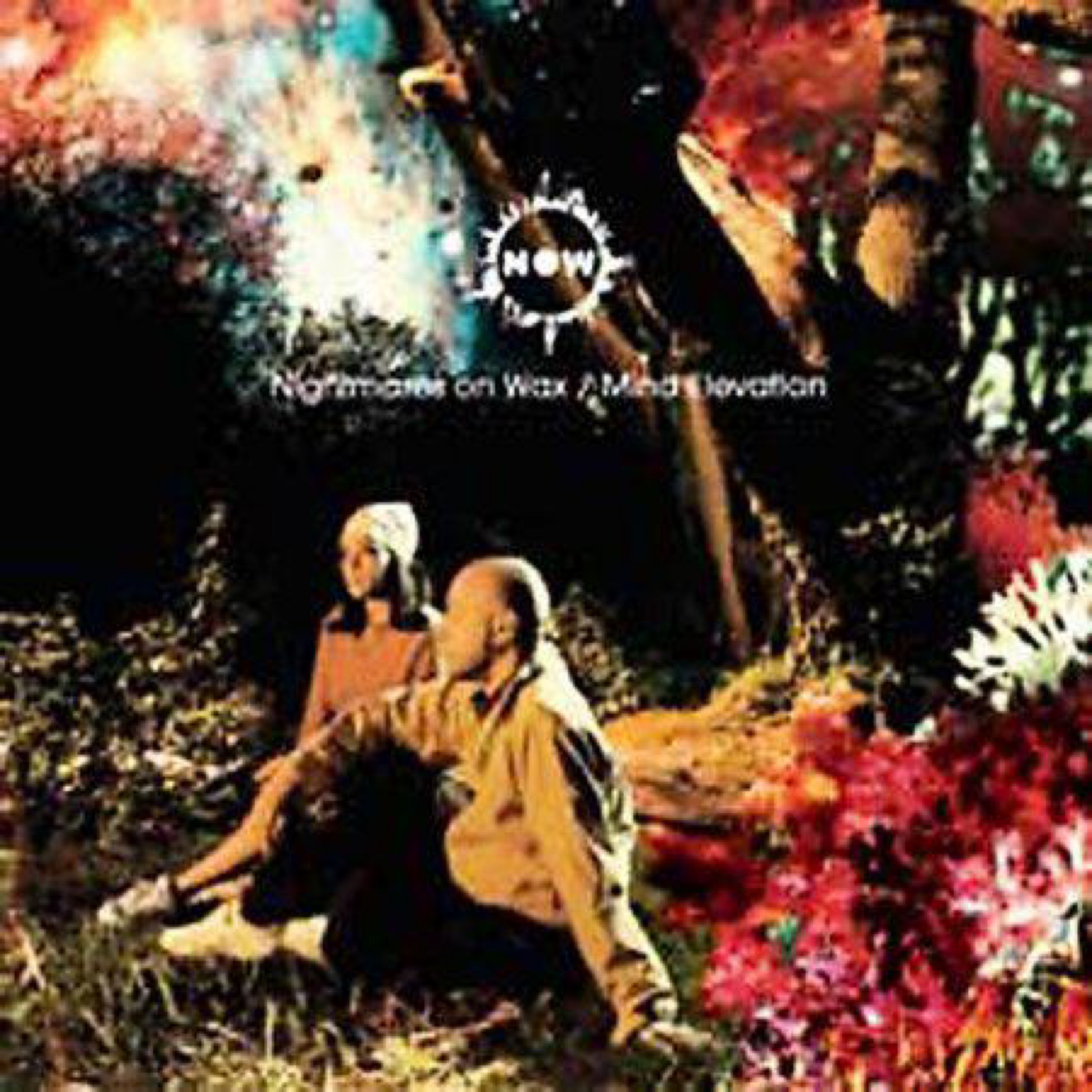 Nightmares On Wax - Mind Elevation by Unknown Artist - View 1