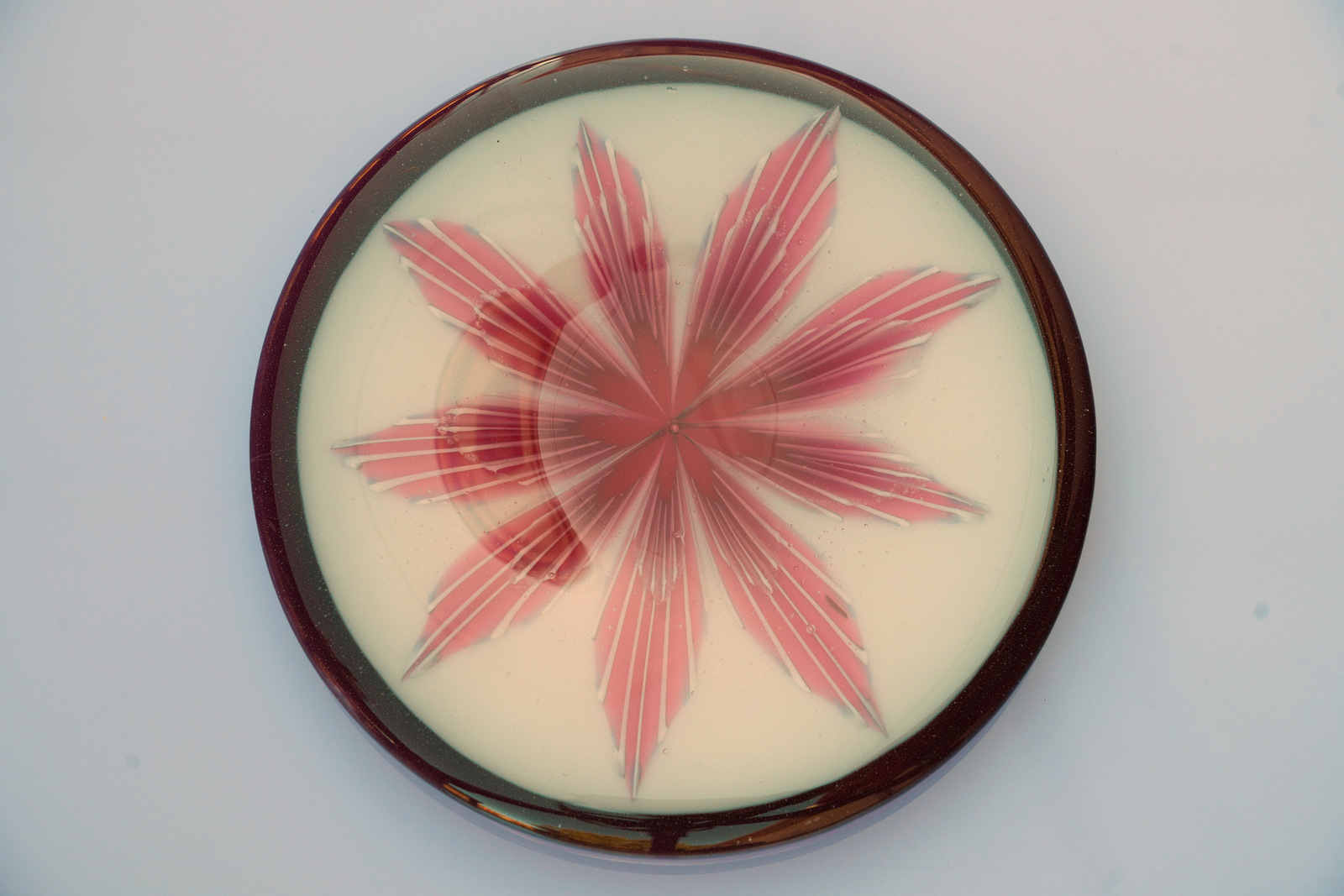 Plum Petals