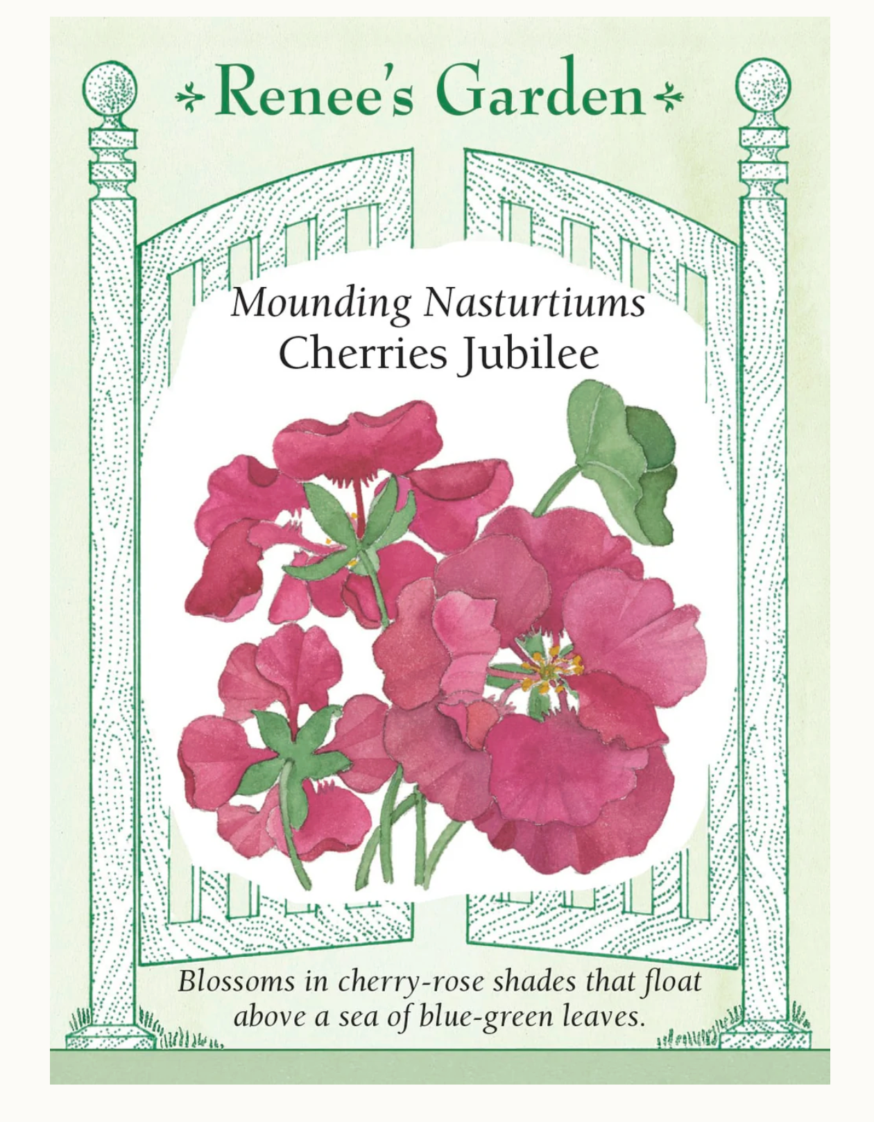 Renee's Garden | Mounding Nasturtiums Cherries Jubilee